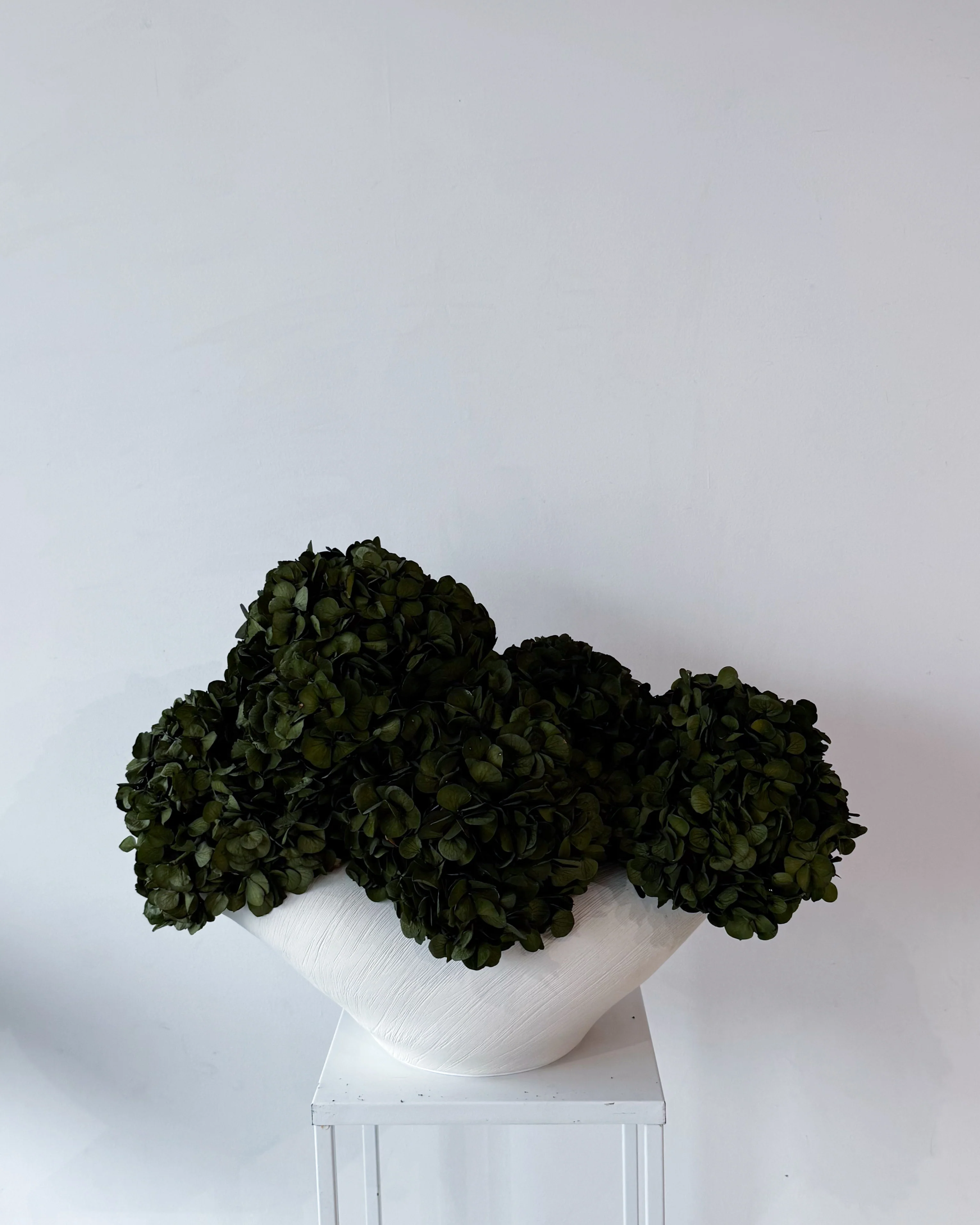 PRE ORDER JULY - CHARLOTTE | OLIVE-GREEN PRESERVED HYDRANGEAS IN COSSE BOWL