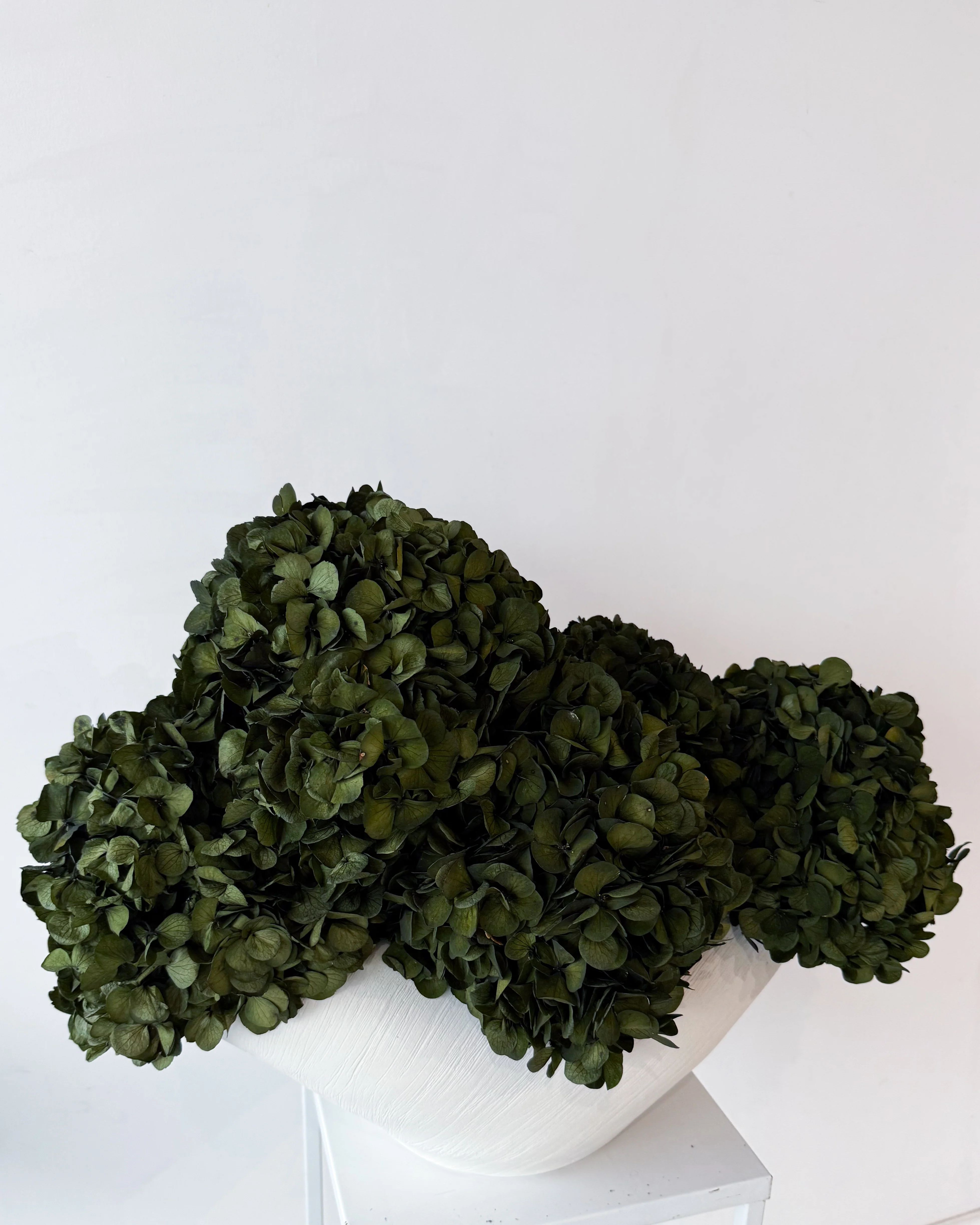PRE ORDER JULY - CHARLOTTE | OLIVE-GREEN PRESERVED HYDRANGEAS IN COSSE BOWL - Image 2