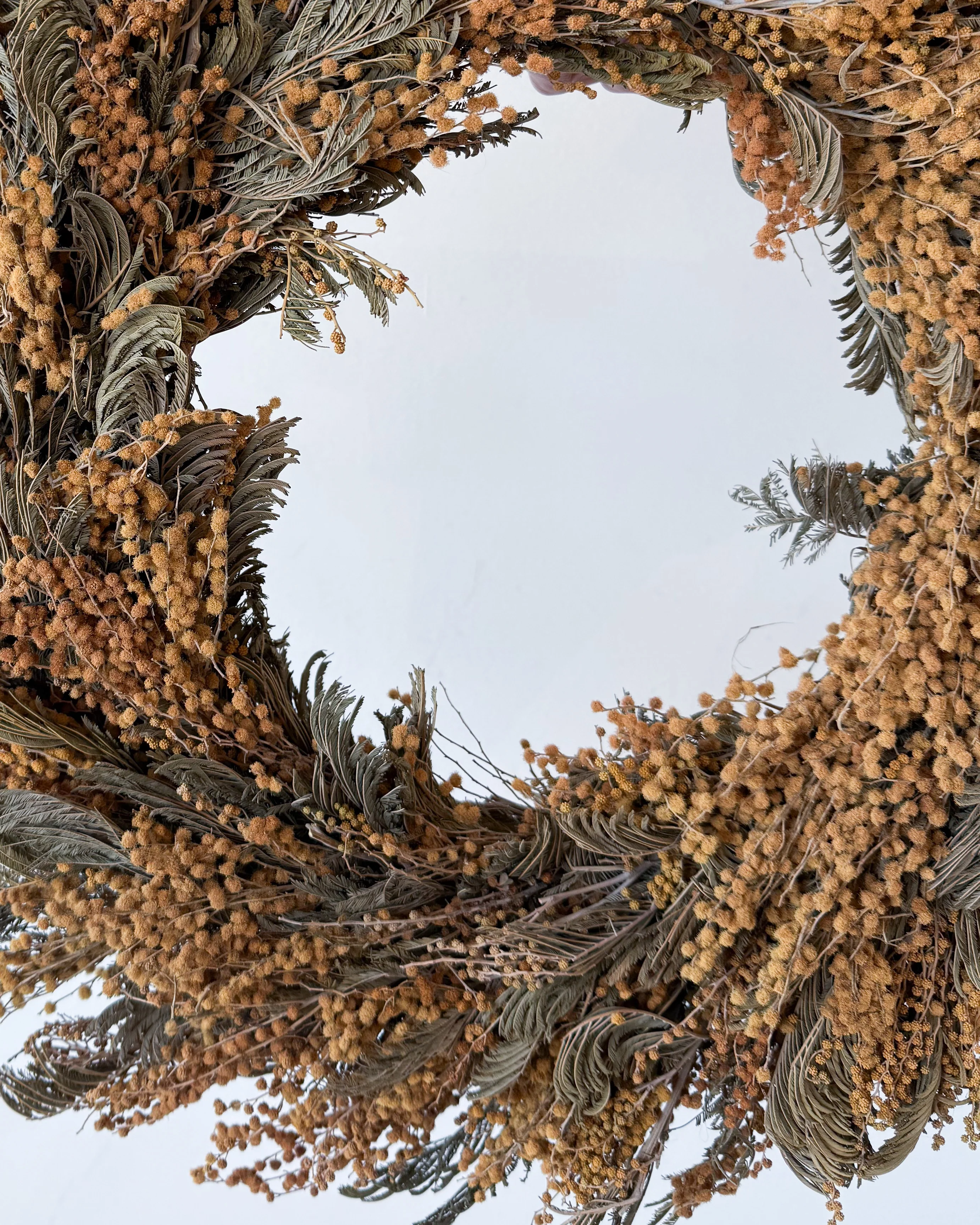 DRIED ACACIA CHRISTMAS WREATH - Image 3