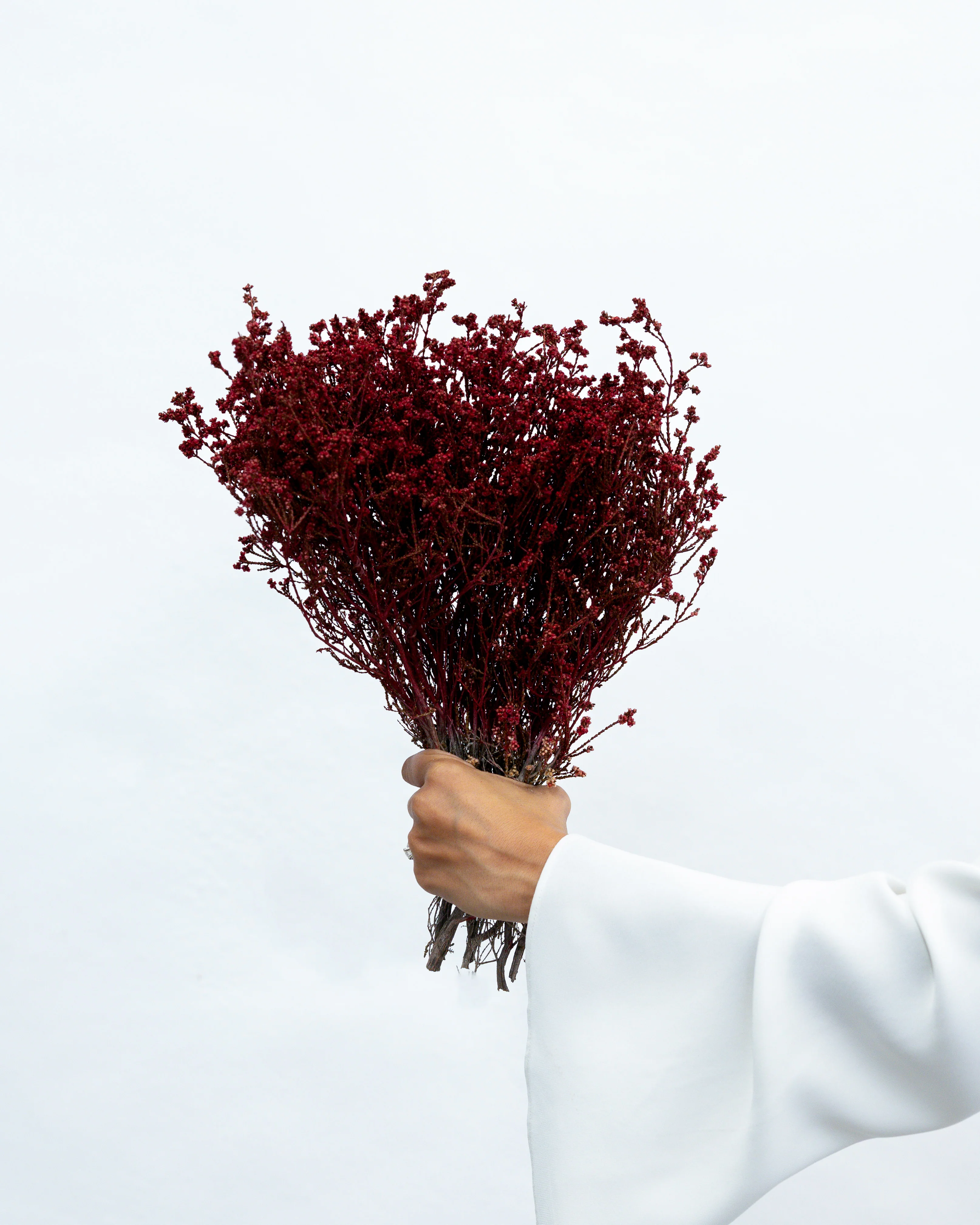 DRIED SCHOLTZIA | BURNT RED