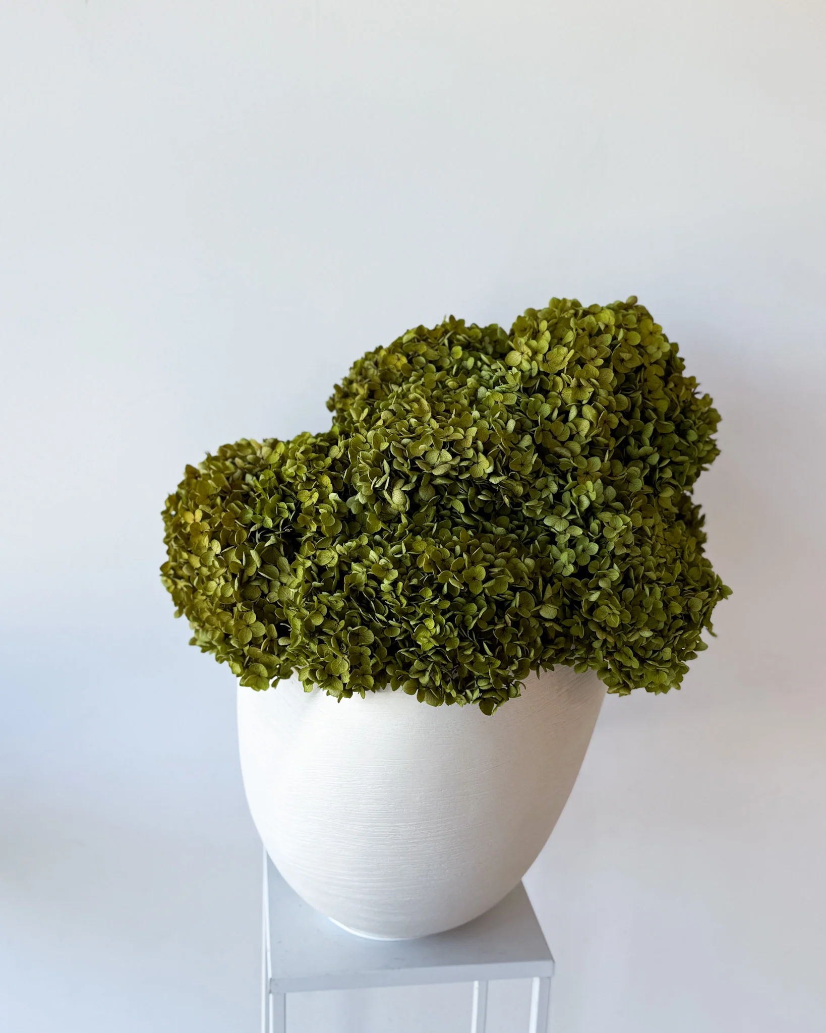 CALLA PRESERVED HYDRANGEAS EN MASSE IN MORPH BOWL IVORY - Image 3