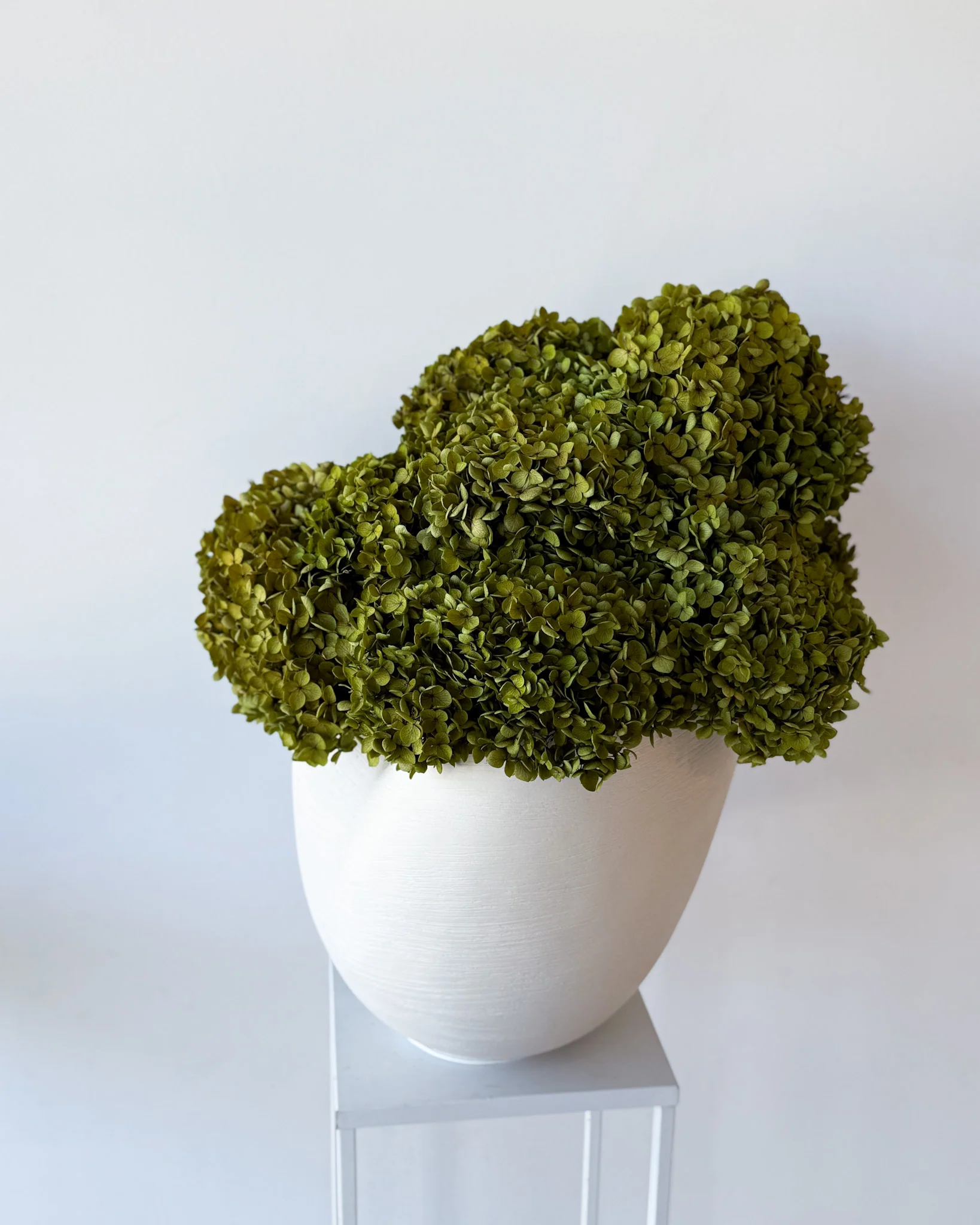 CALLA PRESERVED HYDRANGEAS EN MASSE IN MORPH BOWL IVORY - Image 4