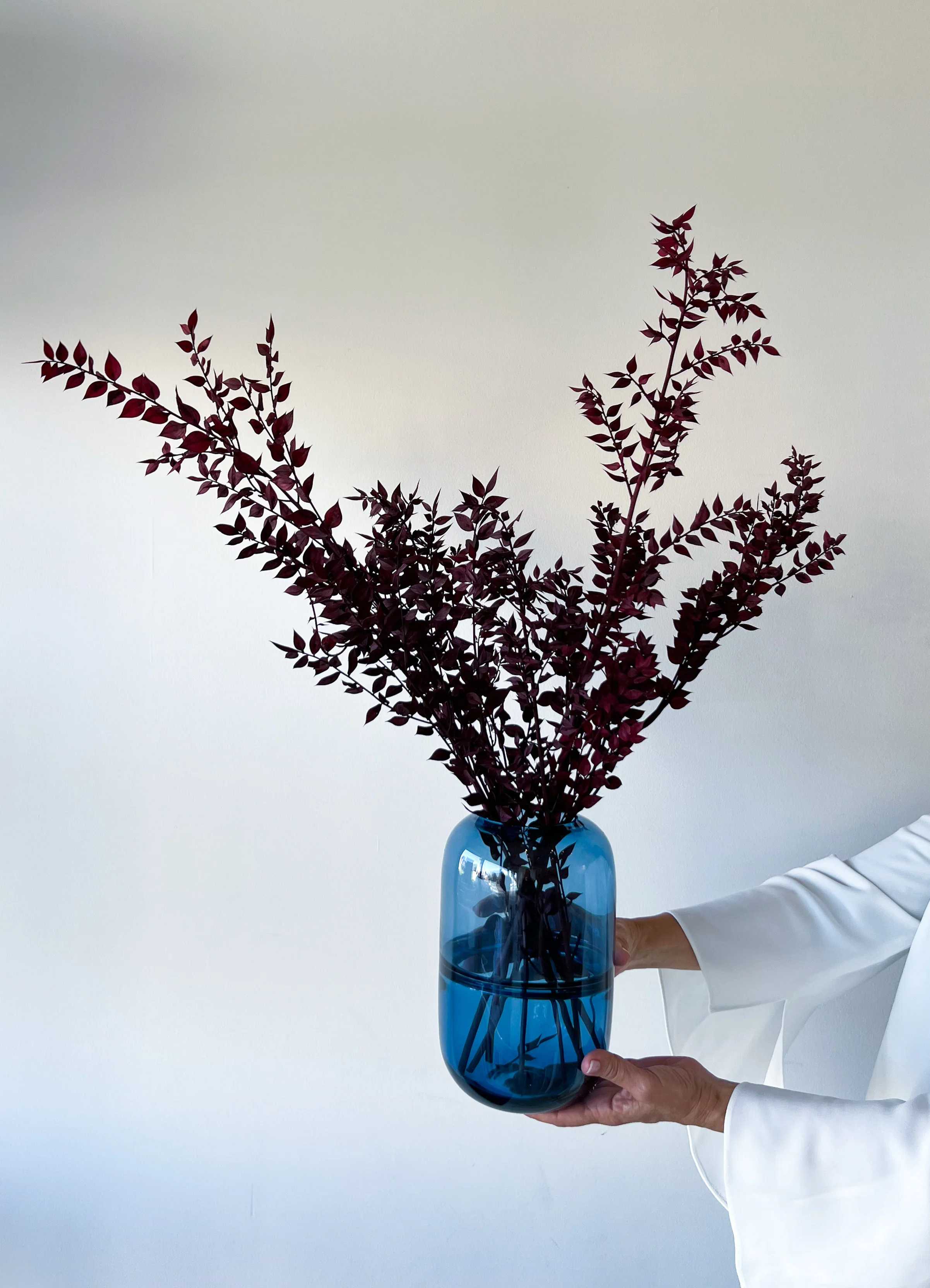 PRESERVED ITALIAN RUSCUS | DEEP BURGUNDY - Image 5