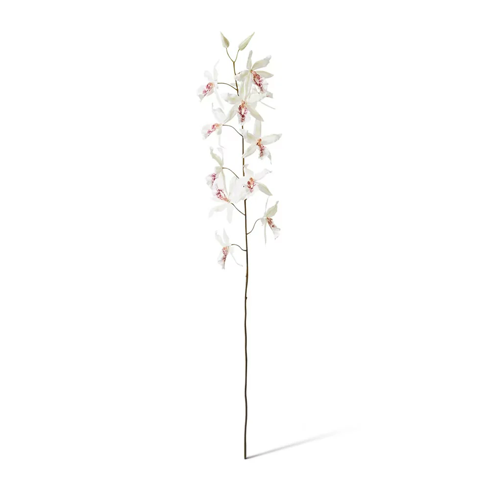 ORCHID ONCIDIUM STEM | WHITE | SOFT-TOUCH