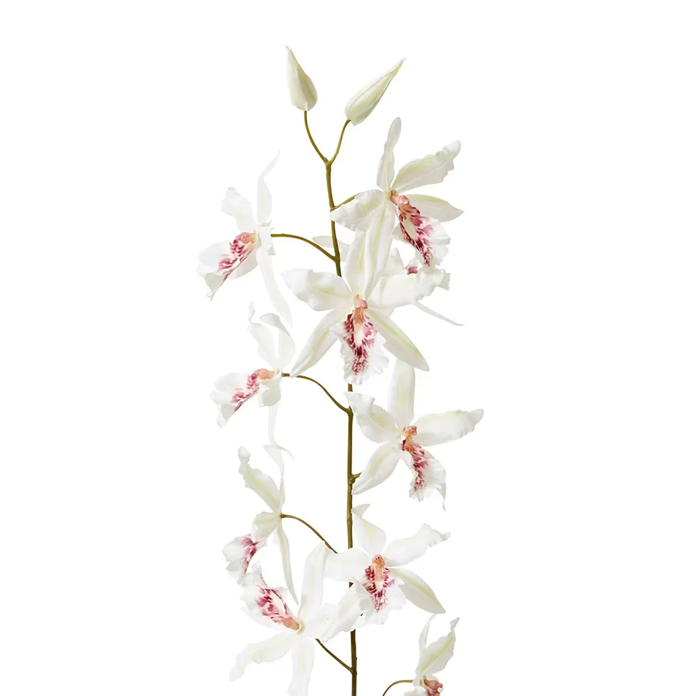 ORCHID ONCIDIUM STEM | WHITE | SOFT-TOUCH - Image 2