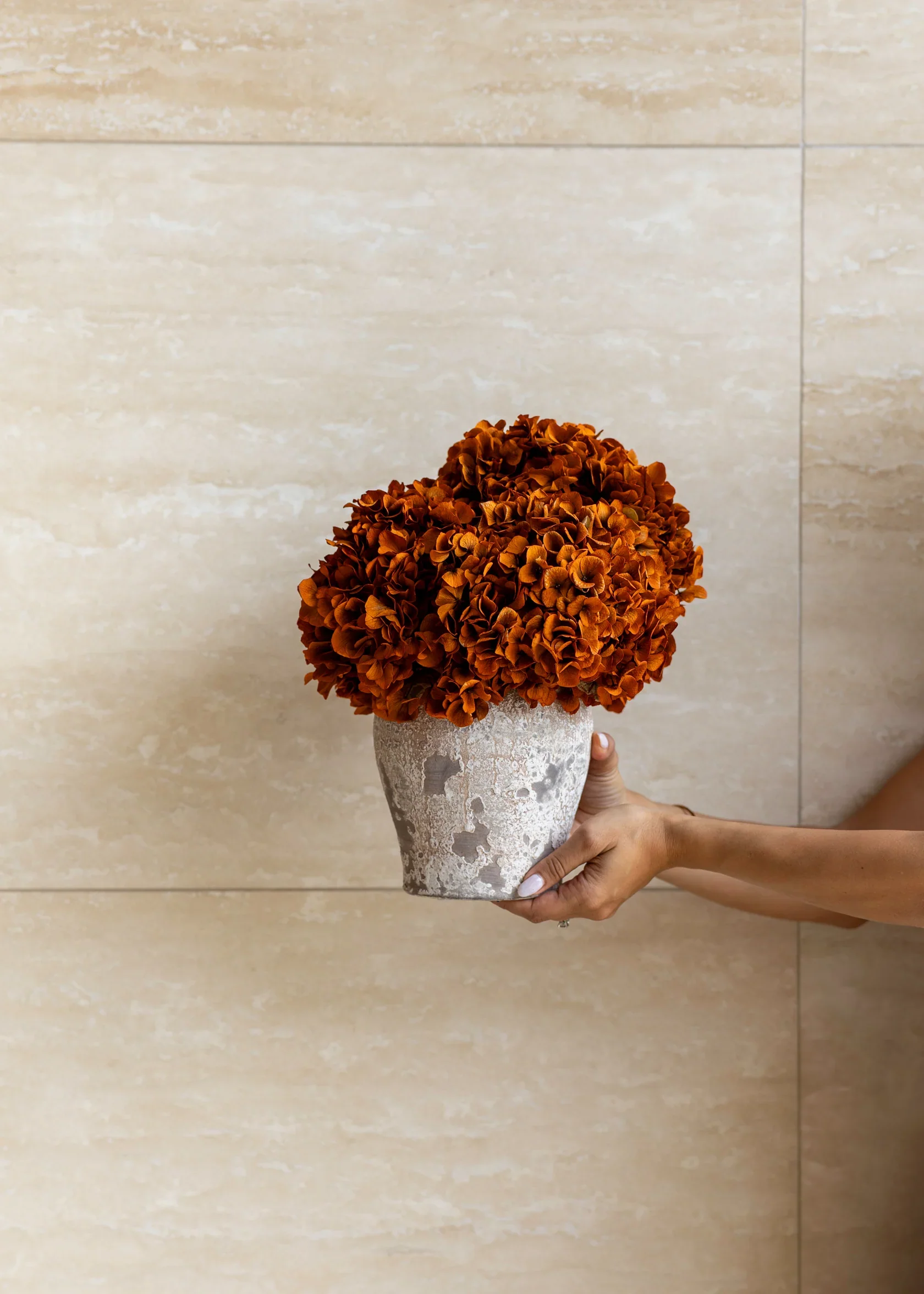 LUNA PRESERVED HYDRANGEA ARRANGEMENT IN HERAMA POT | BURNT ORANGE