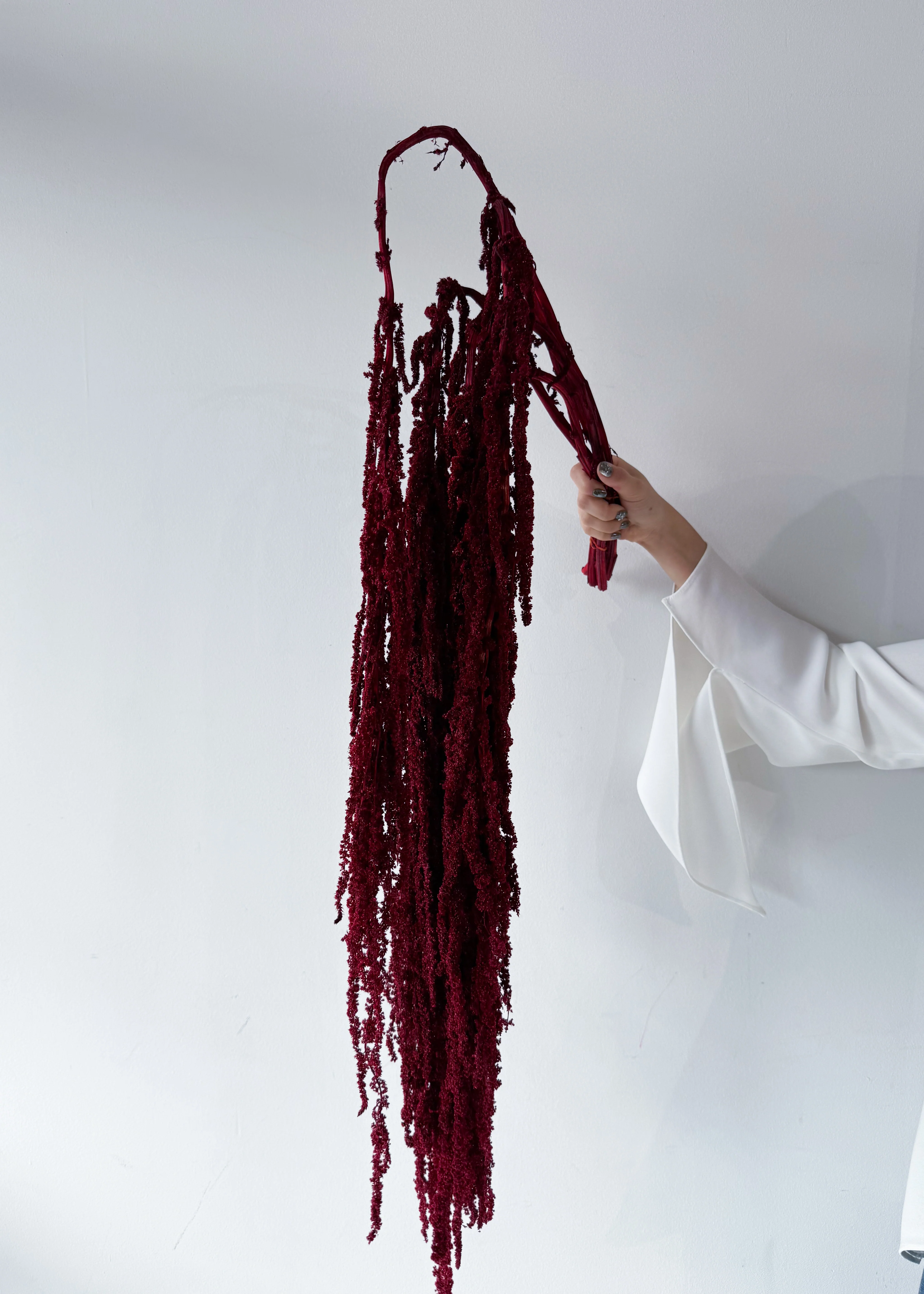PRESERVED AMARANTHUS | WINE RED - Image 2