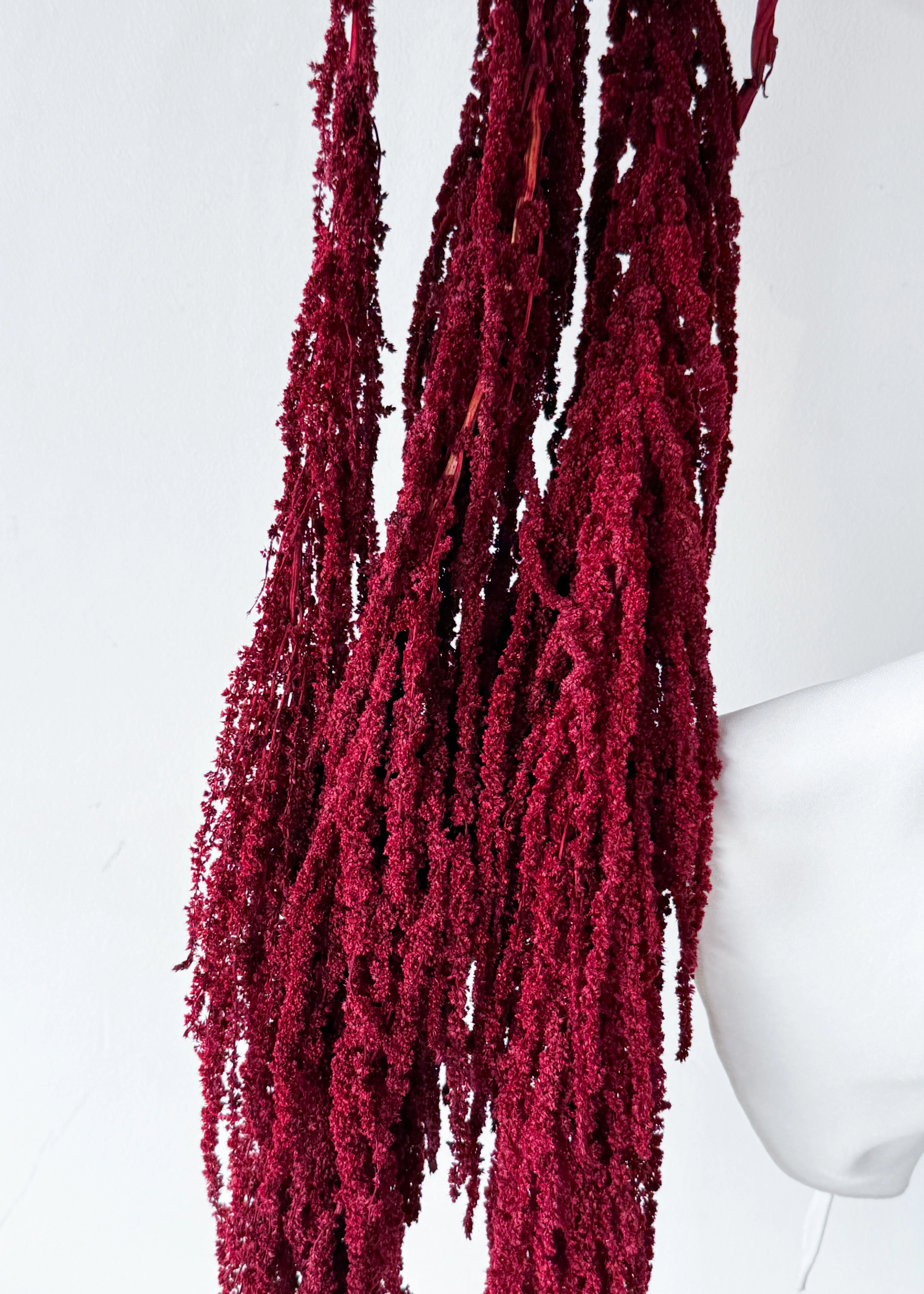 PRESERVED AMARANTHUS | WINE RED - Image 3
