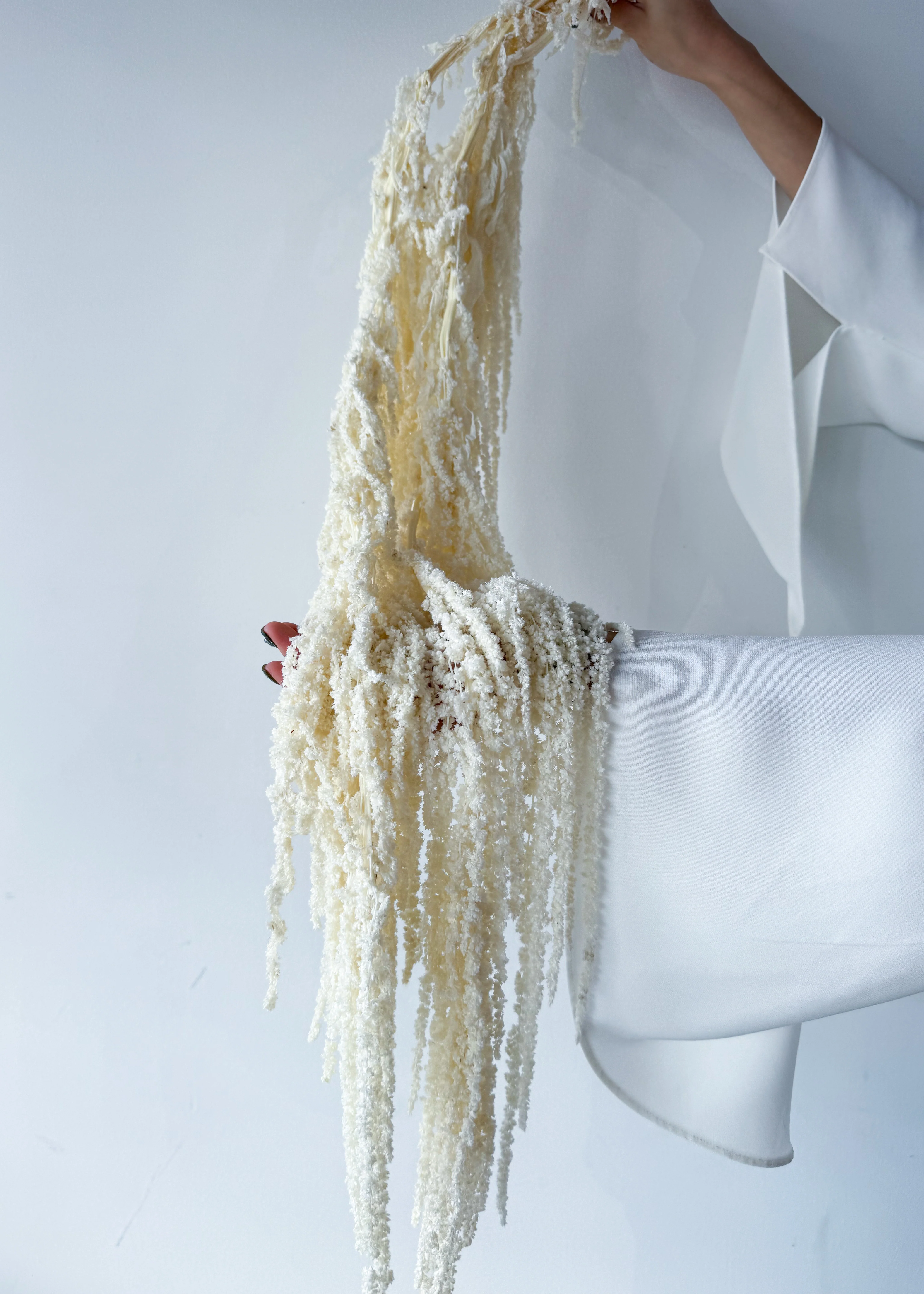 PRESERVED AMARANTHUS | IVORY WHITE - Image 3