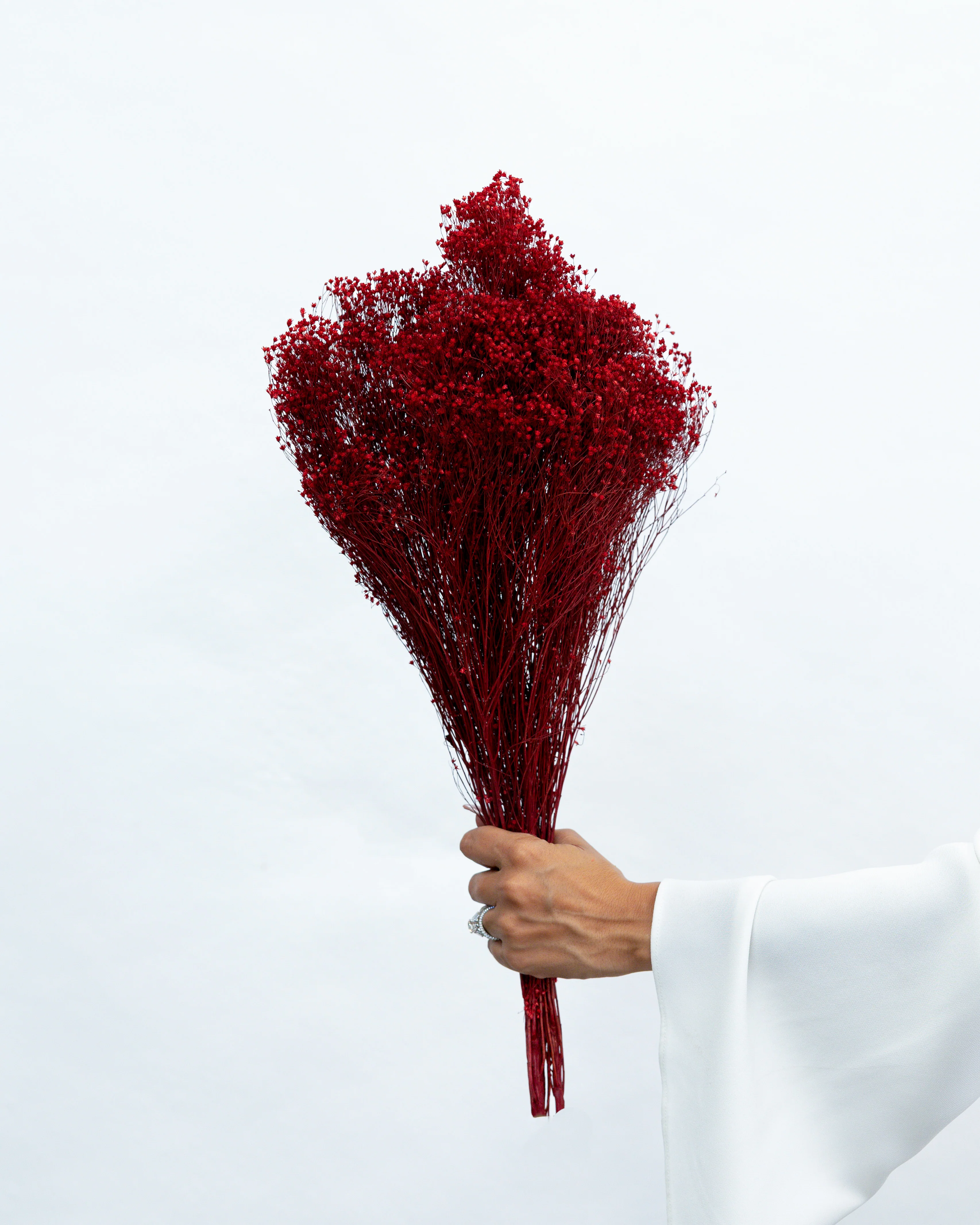 PRESERVED BABY'S BREATH | DEEP MARONE