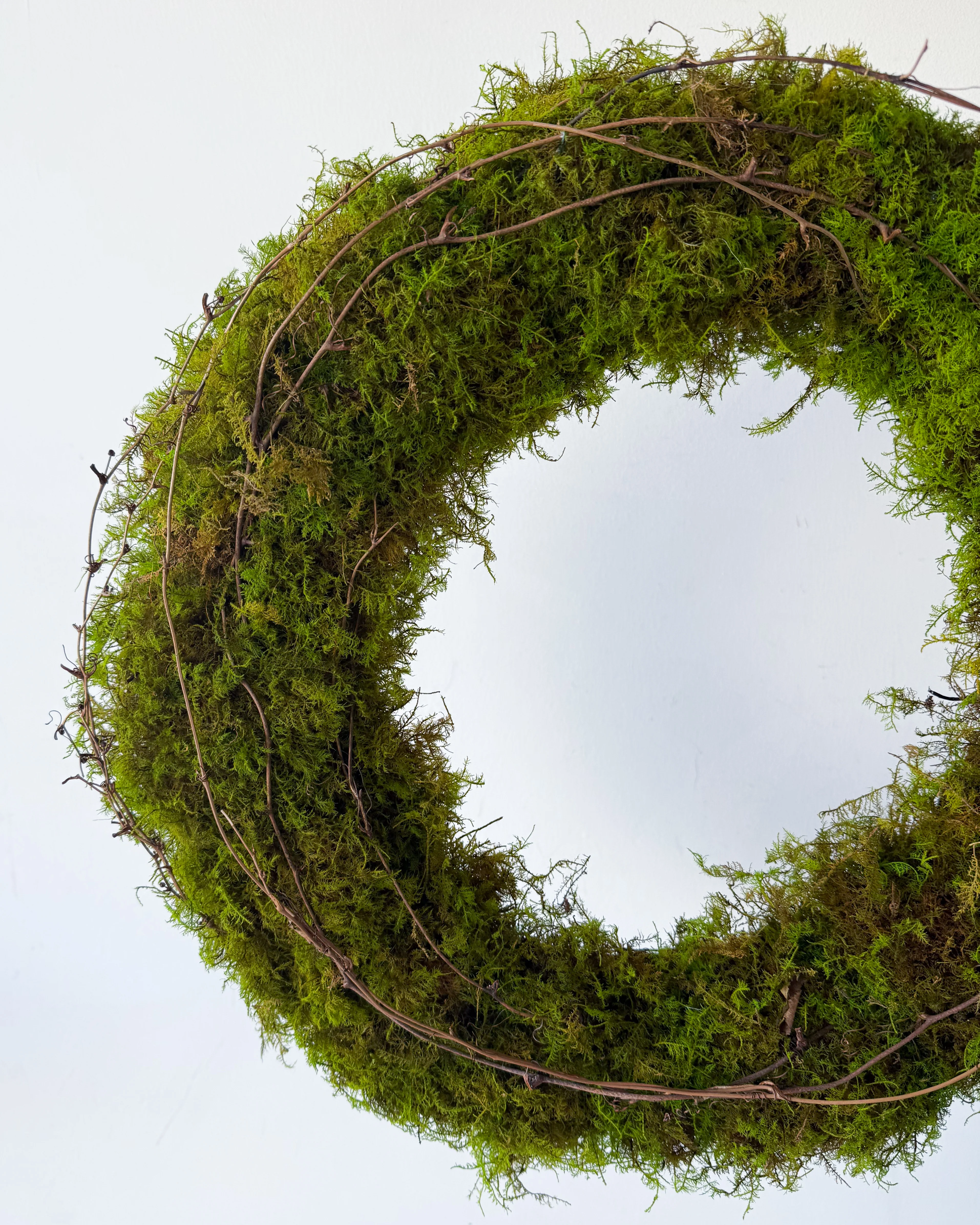 PRESERVED GREEN MOSS CHRISTMAS WREATH - Image 2