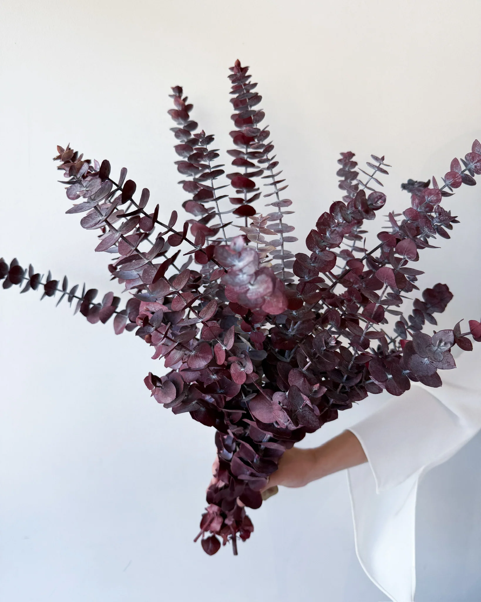 PRESERVED GUM | BURGUNDY - Image 2