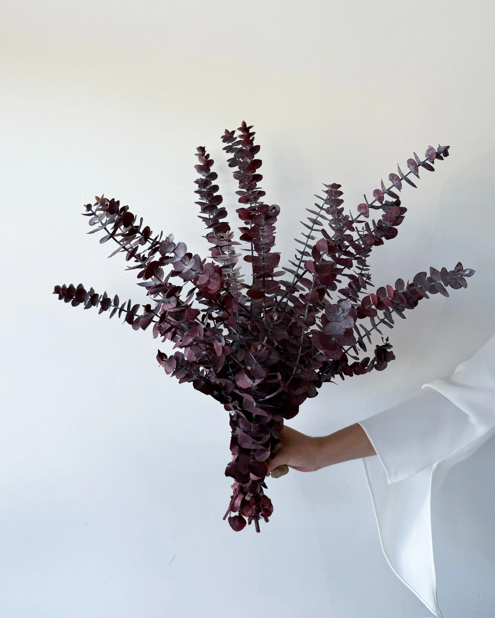 PRESERVED GUM | BURGUNDY - Image 3