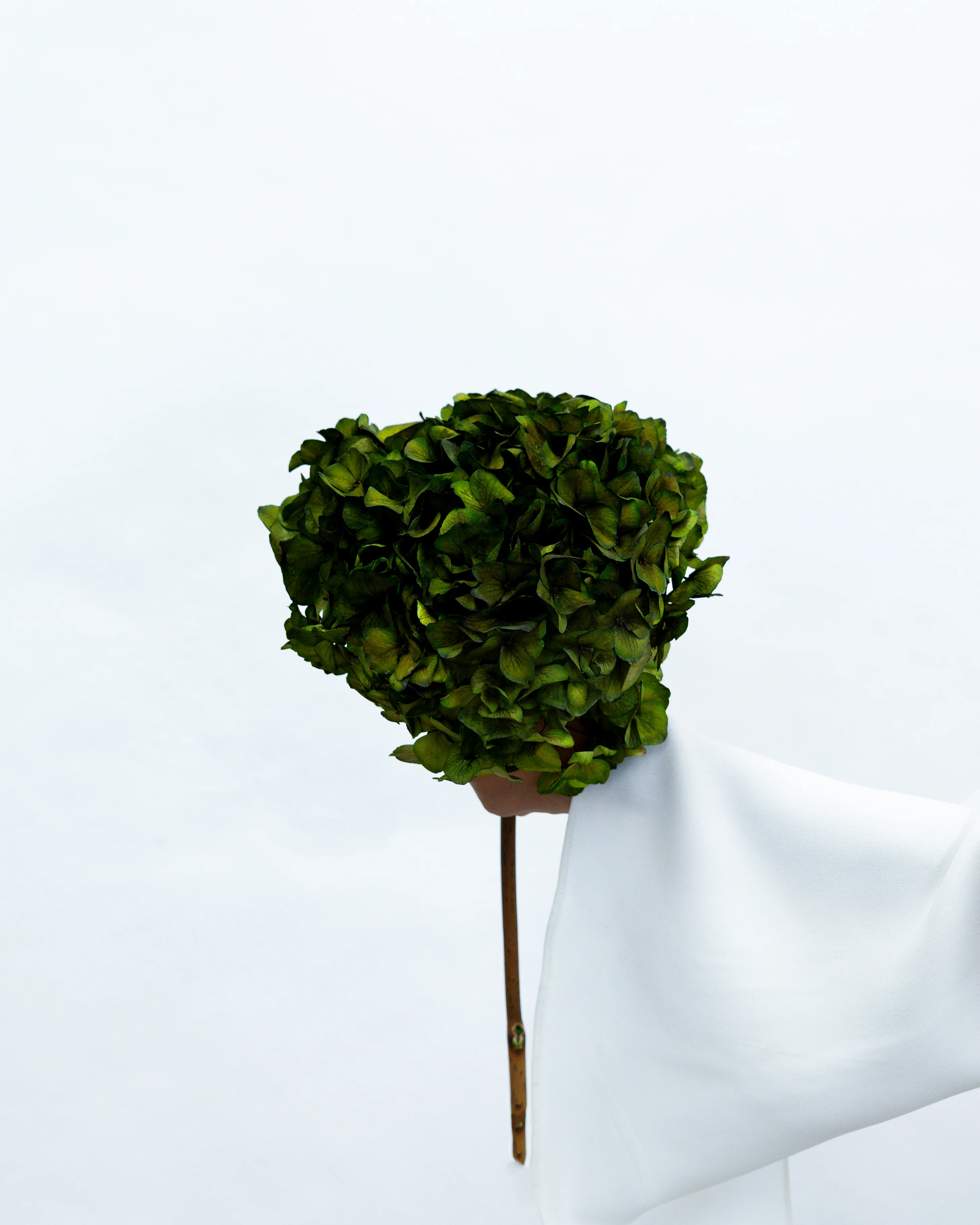 PRESERVED HYDRANGEA STEM I DEEP GREEN I LARGE-LEAF - Image 2