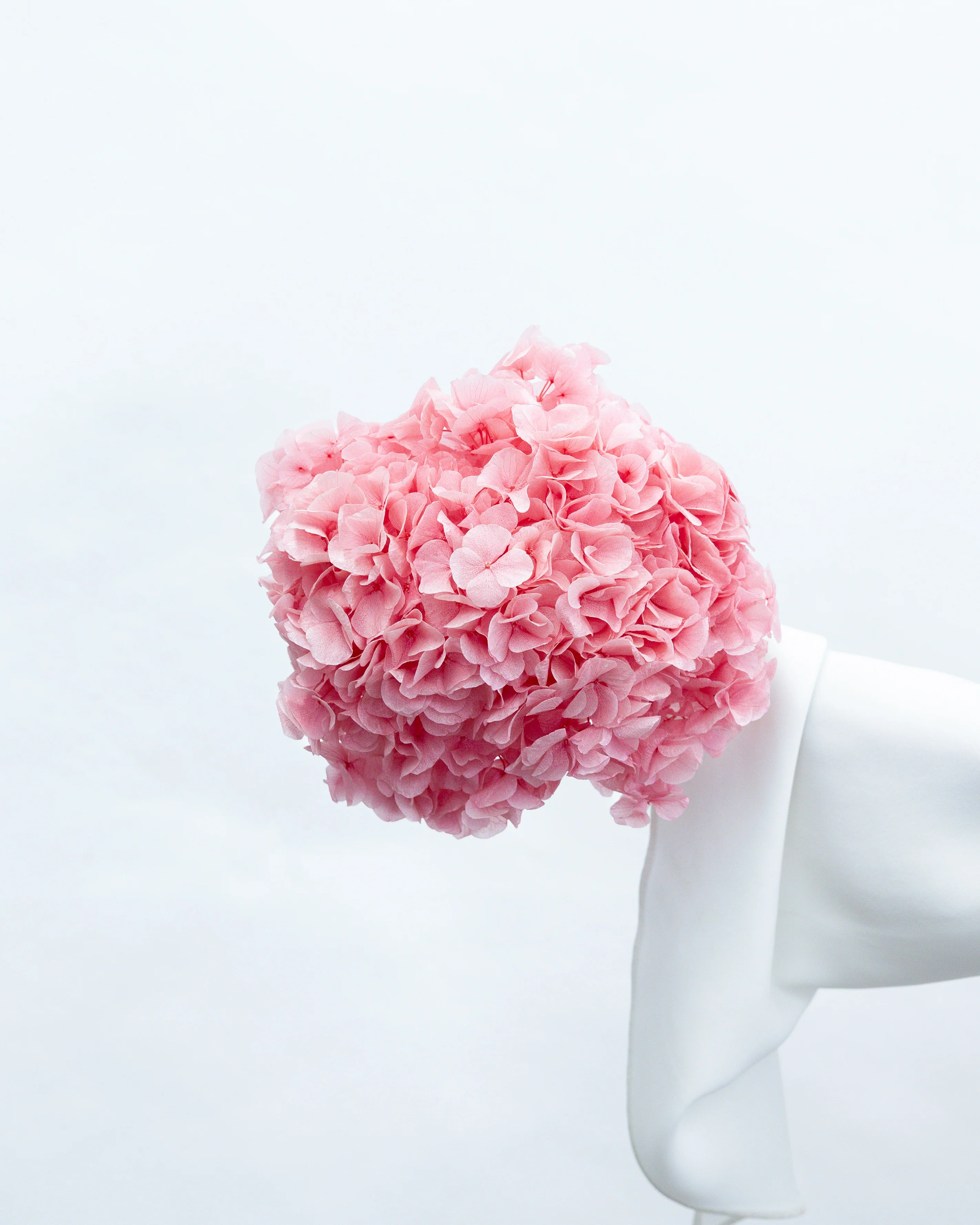 PRESERVED HYDRANGEA STEM I ROSE-PINK I LARGE-LEAF