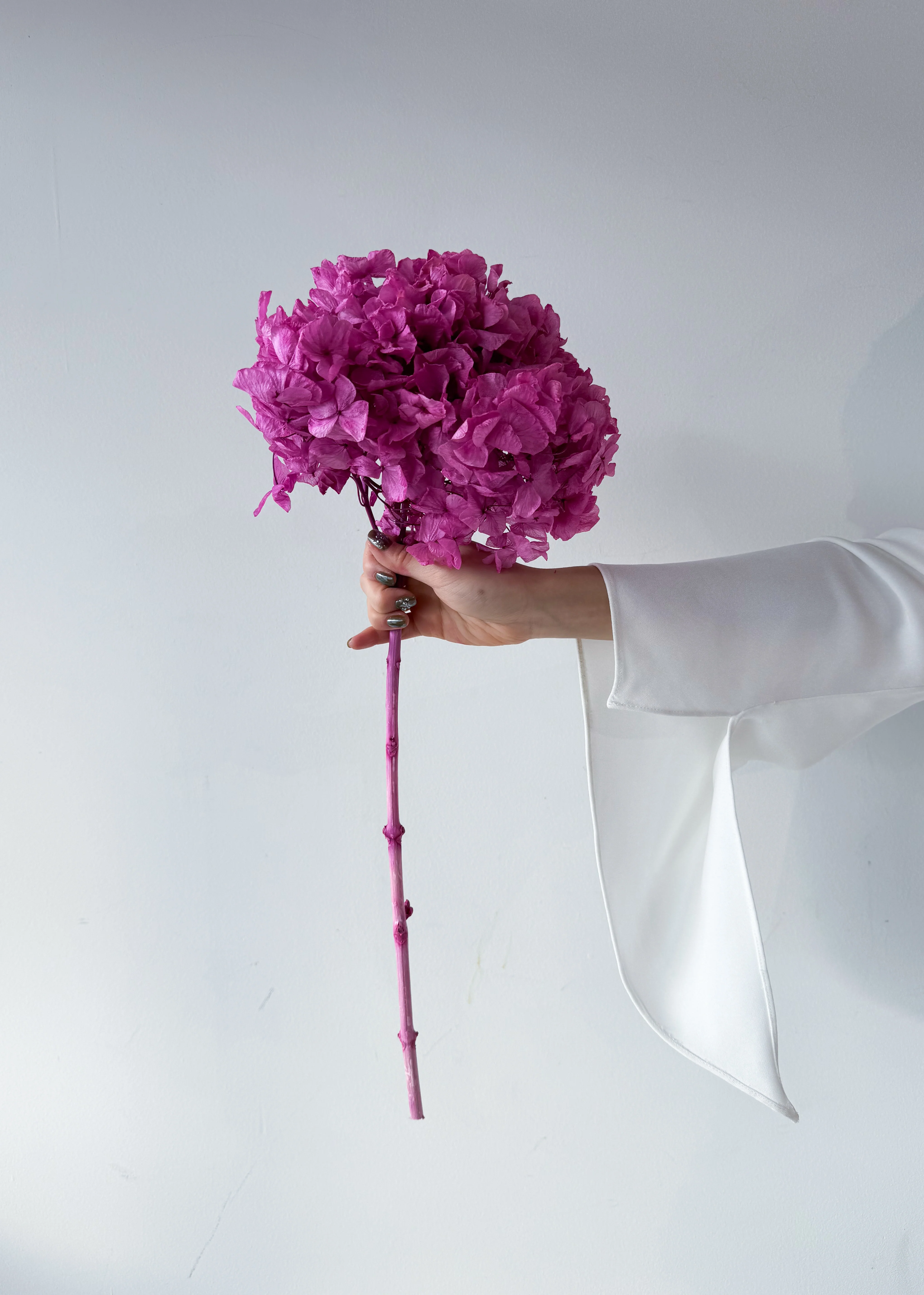 PRESERVED HYDRANGEA STEM I FUCHSIA I LARGE-LEAF - Image 5
