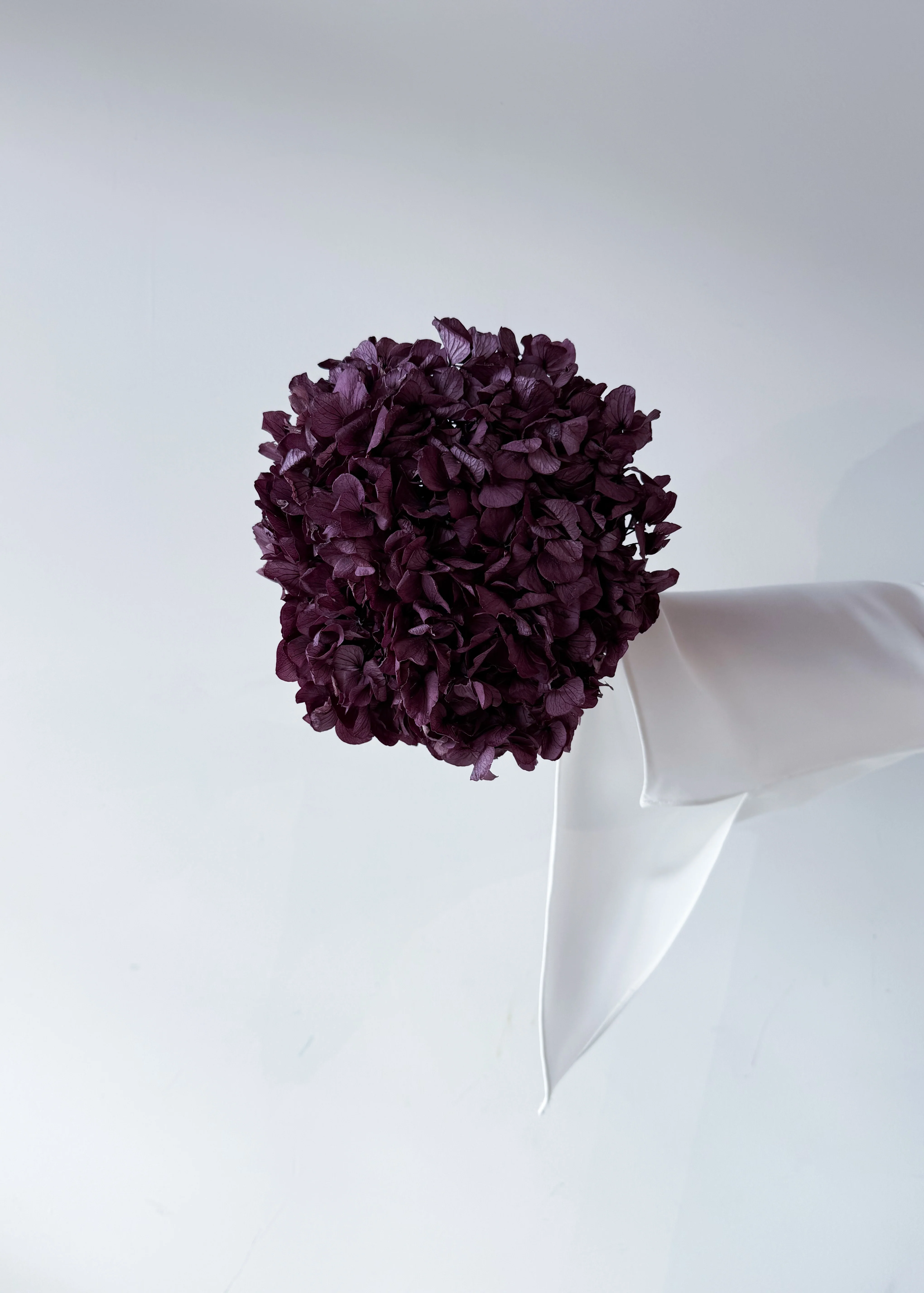 PRESERVED HYDRANGEA STEM I GRAPE I LARGE-LEAF