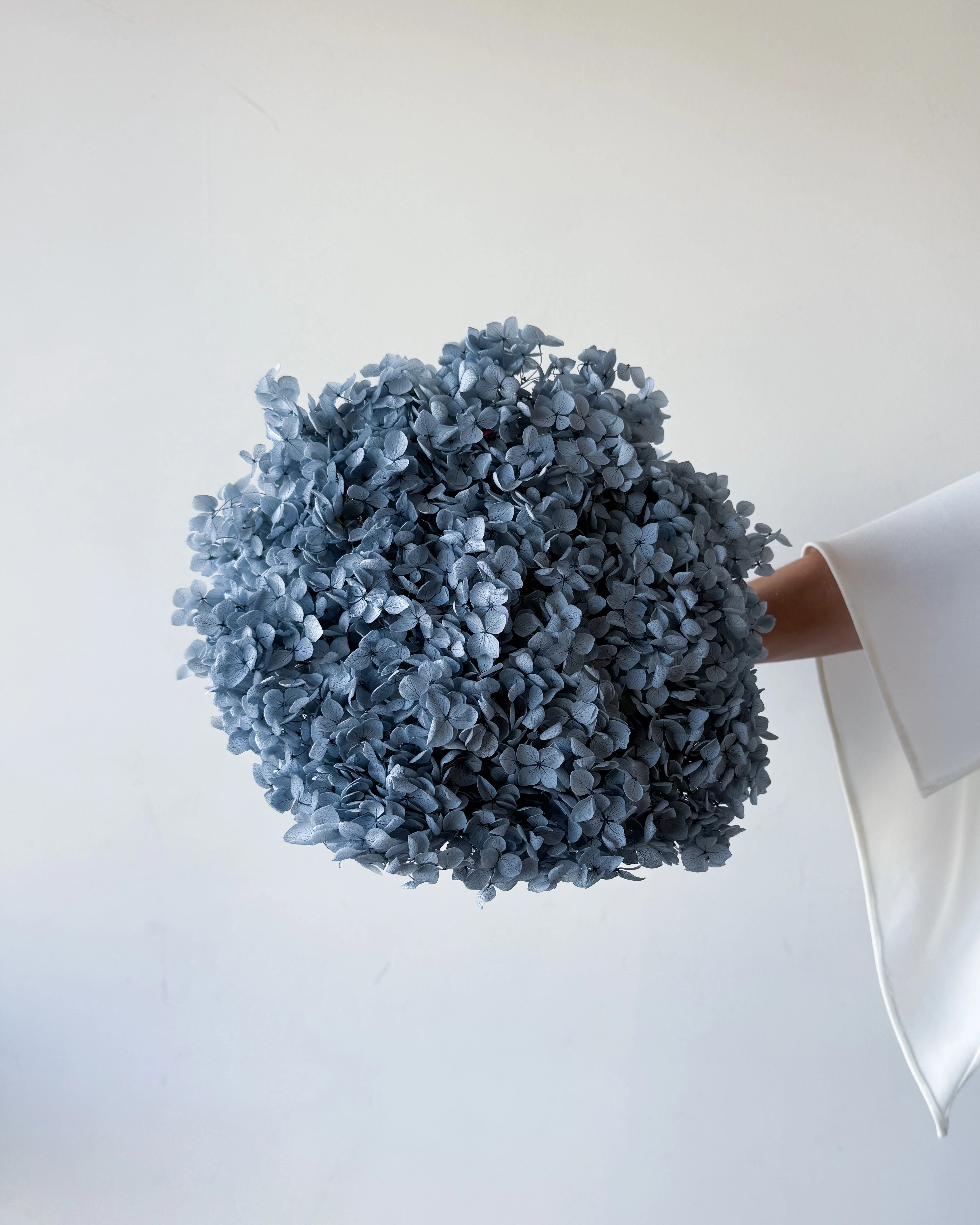 PRESERVED HYDRANGEA STEM I GREY-BLUE I SMALL-LEAF