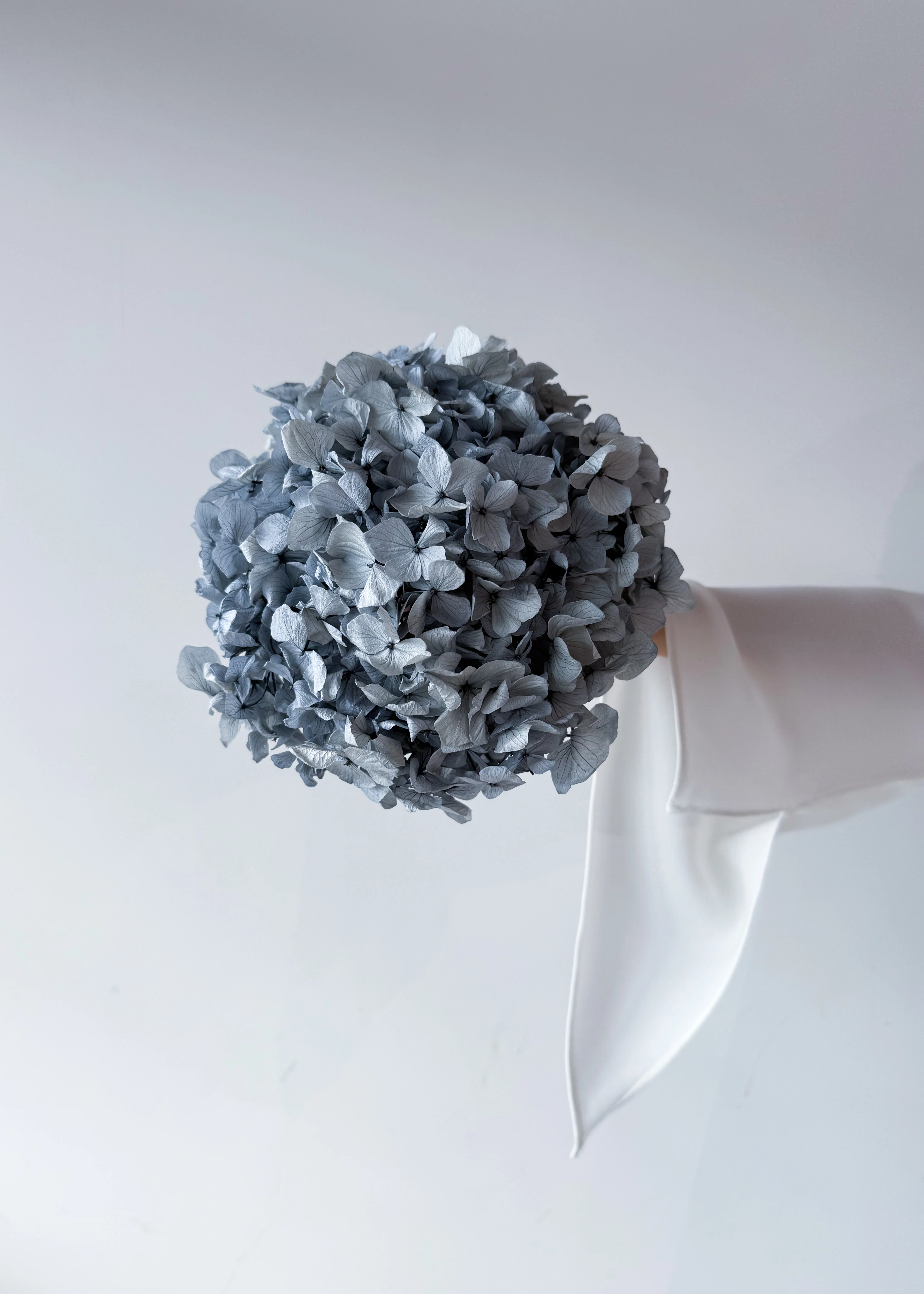 PRESERVED HYDRANGEA STEM I GREY I LARGE-LEAF