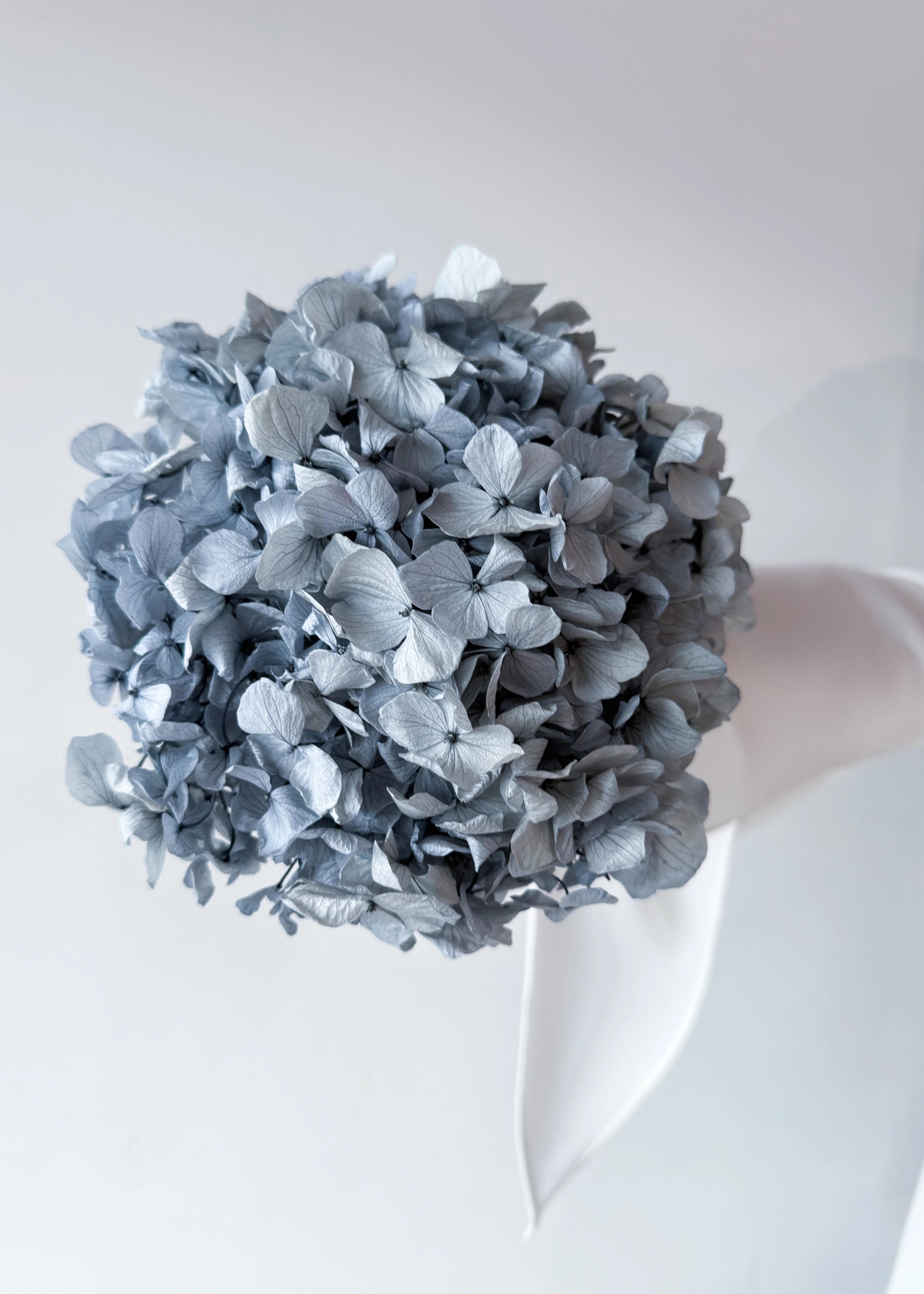 PRESERVED HYDRANGEA STEM I GREY I LARGE-LEAF - Image 2