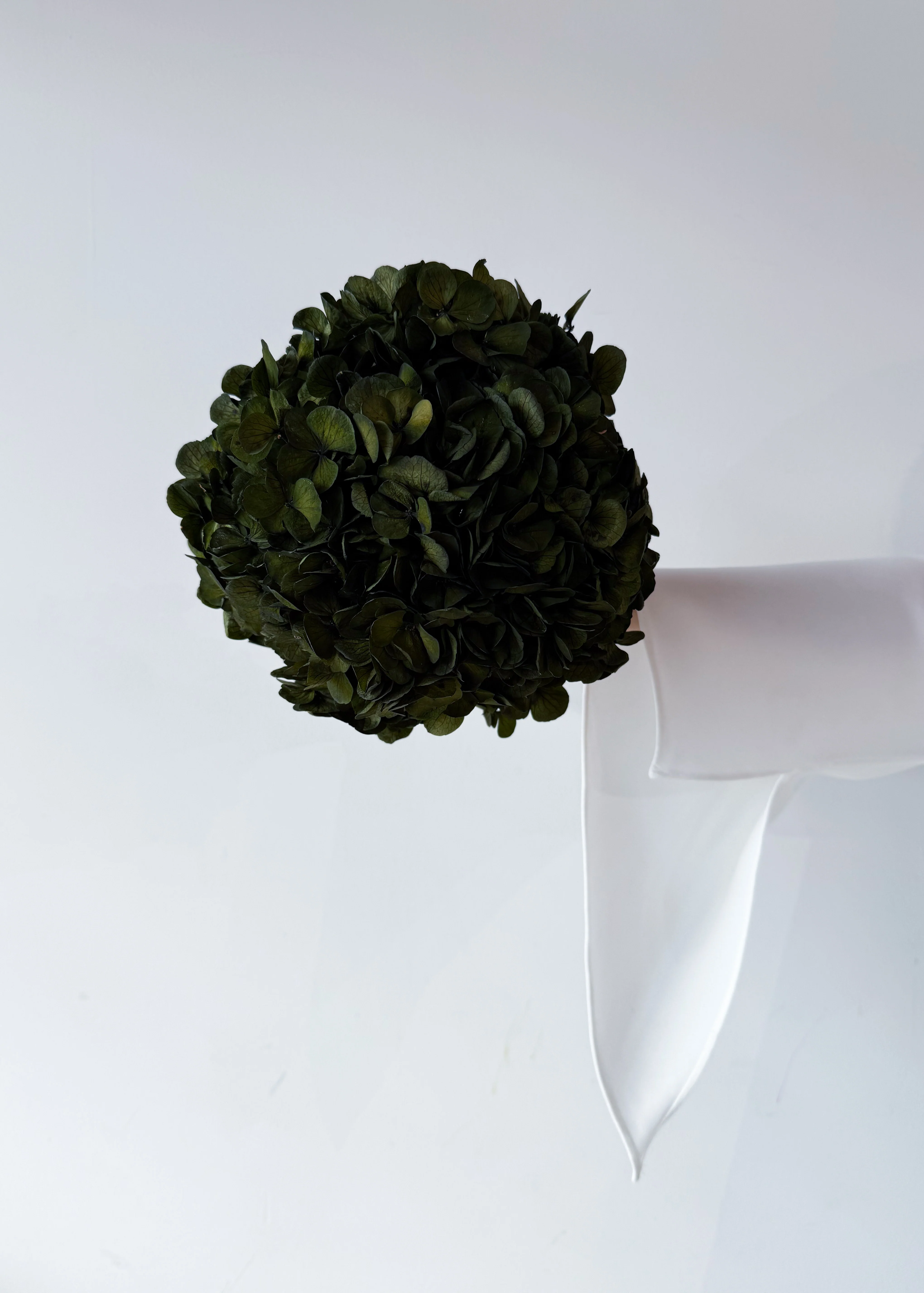 PRESERVED HYDRANGEA STEM I OLIVE GREEN I LARGE-LEAF - Image 3