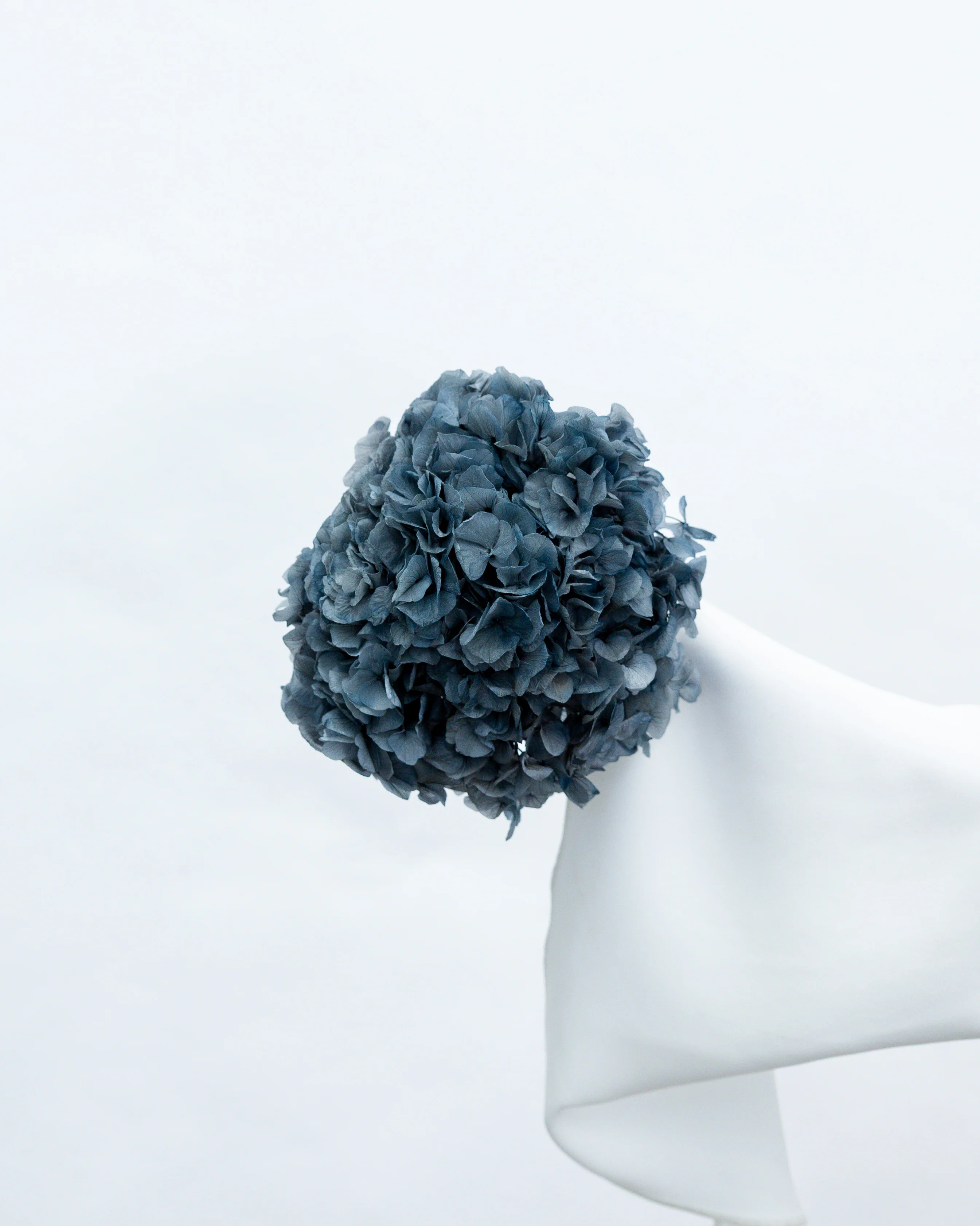 PRESERVED HYDRANGEA STEM I DEEP GREY-BLUE I LARGE-LEAF