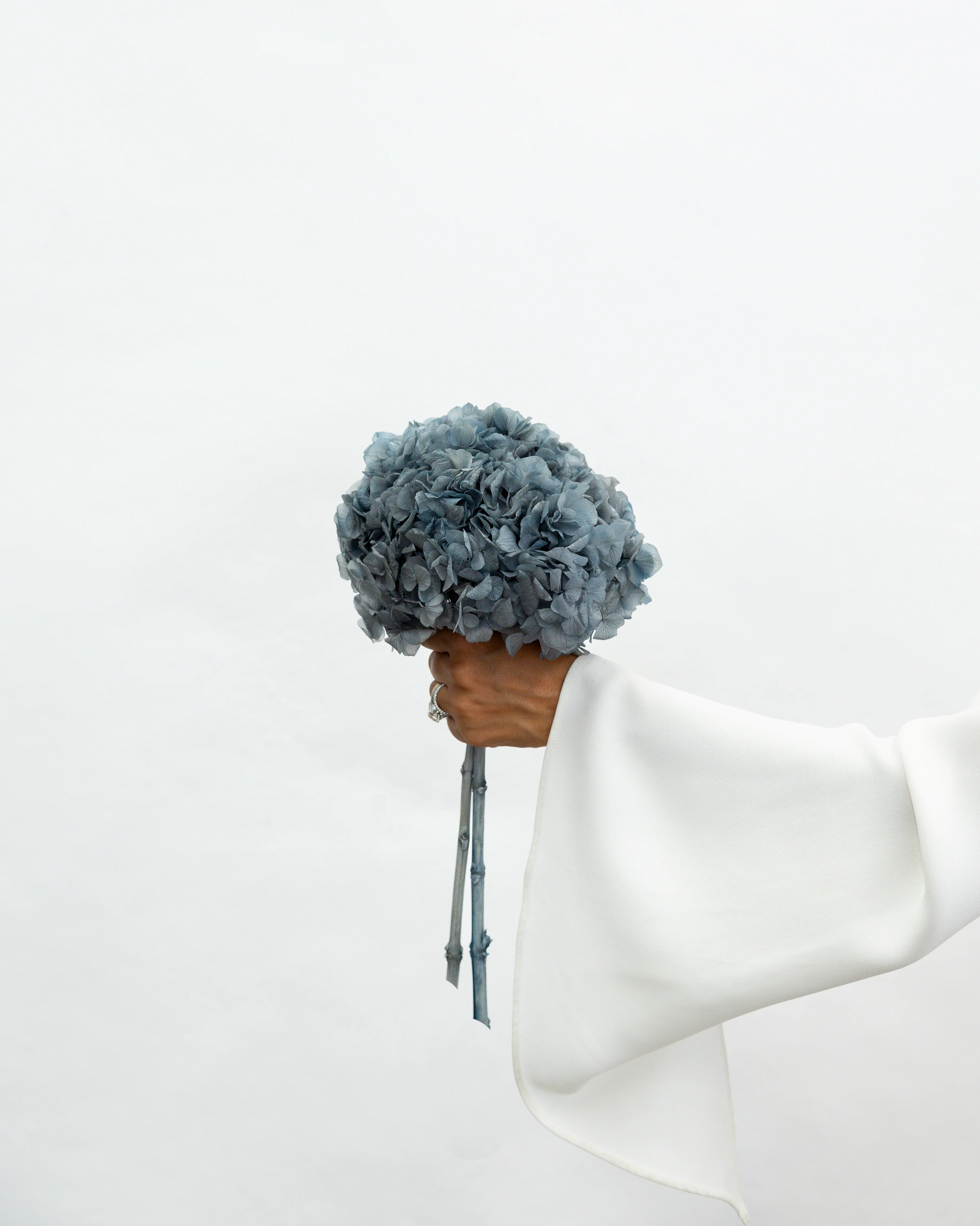 PRESERVED HYDRANGEA STEM I DEEP GREY-BLUE I LARGE-LEAF - Image 3