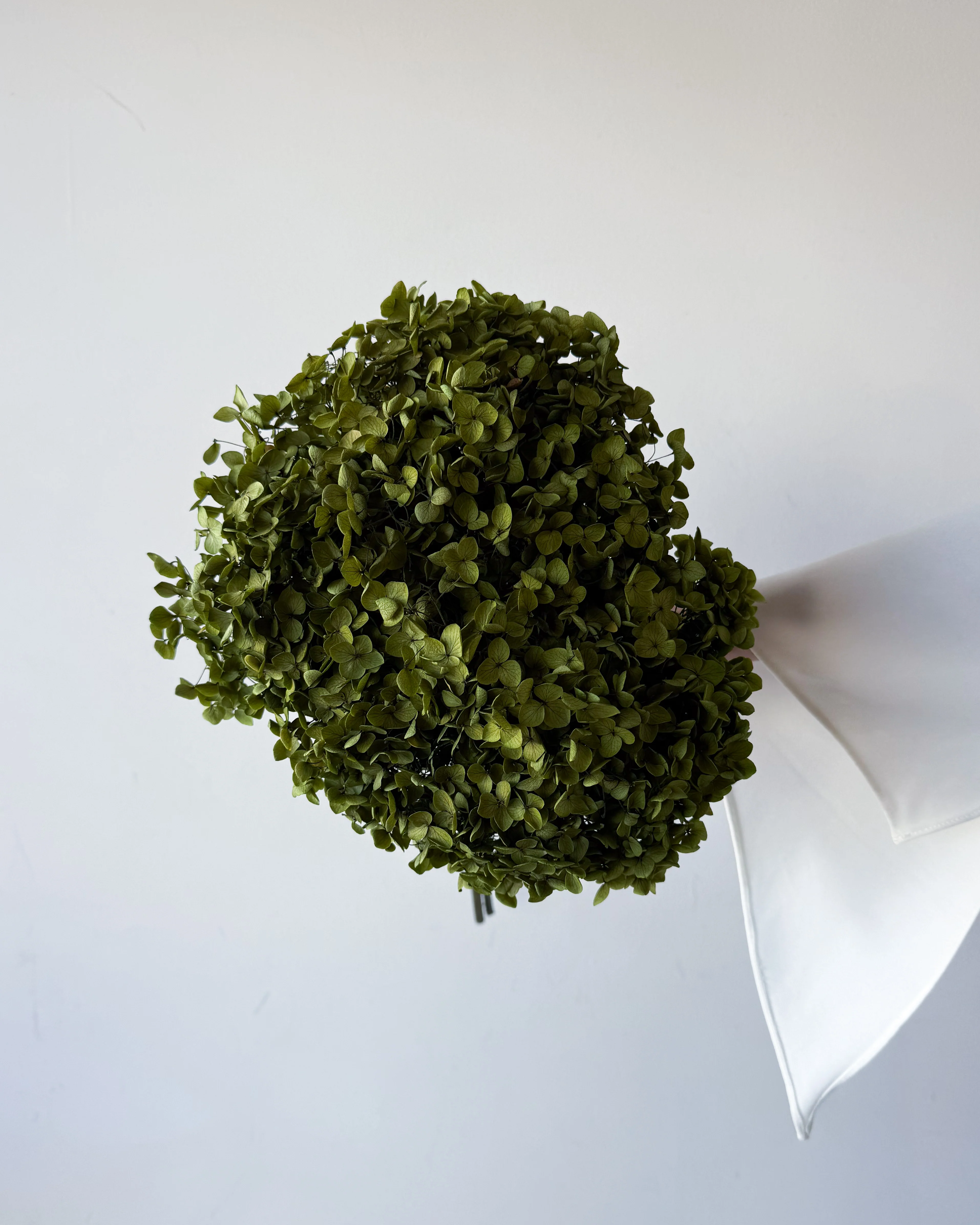PRESERVED HYDRANGEA STEM | OLIVE GREEN | SMALL-LEAF