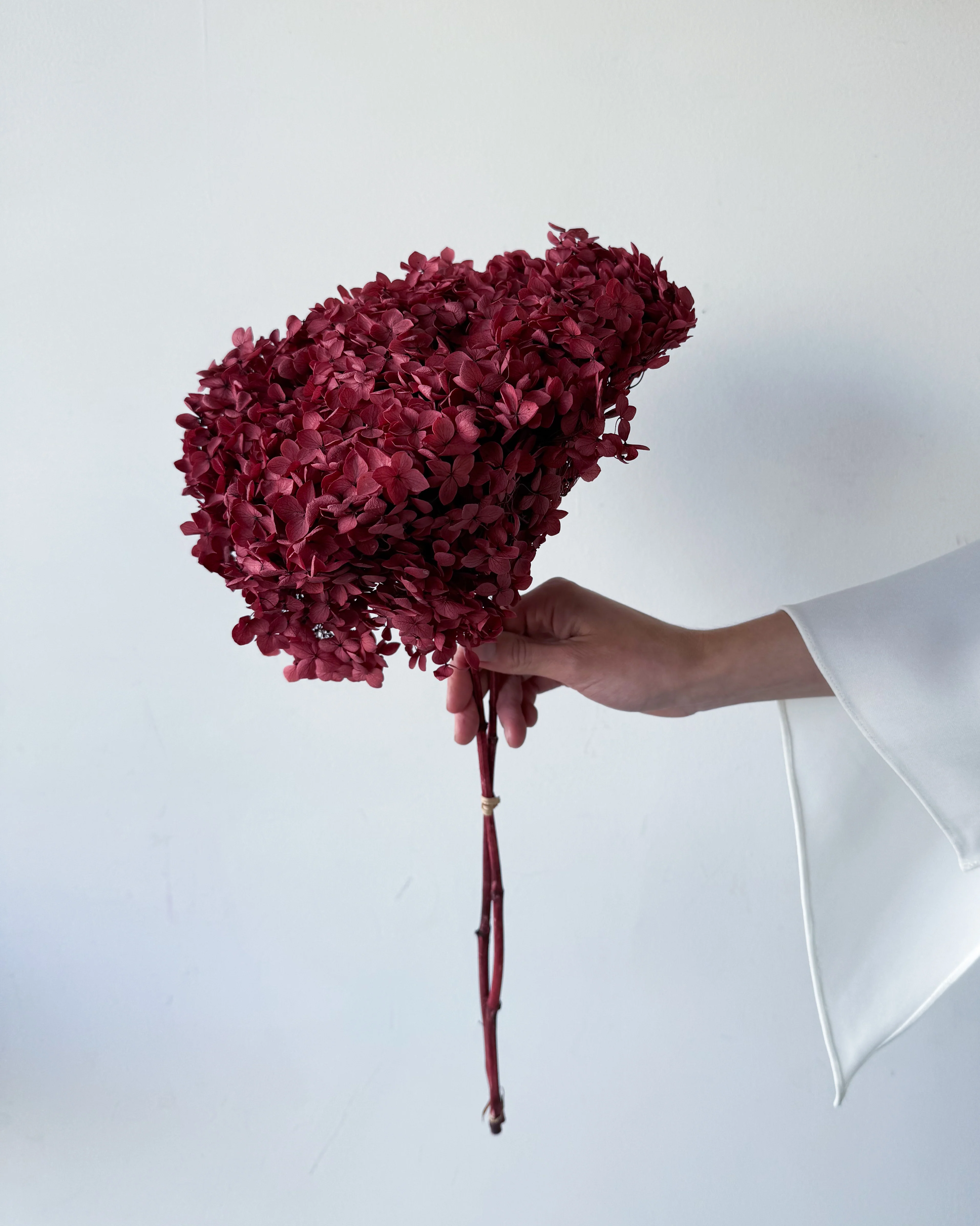 PRESERVED HYDRANGEA STEM | WINE RED | SMALL-LEAF - Image 2
