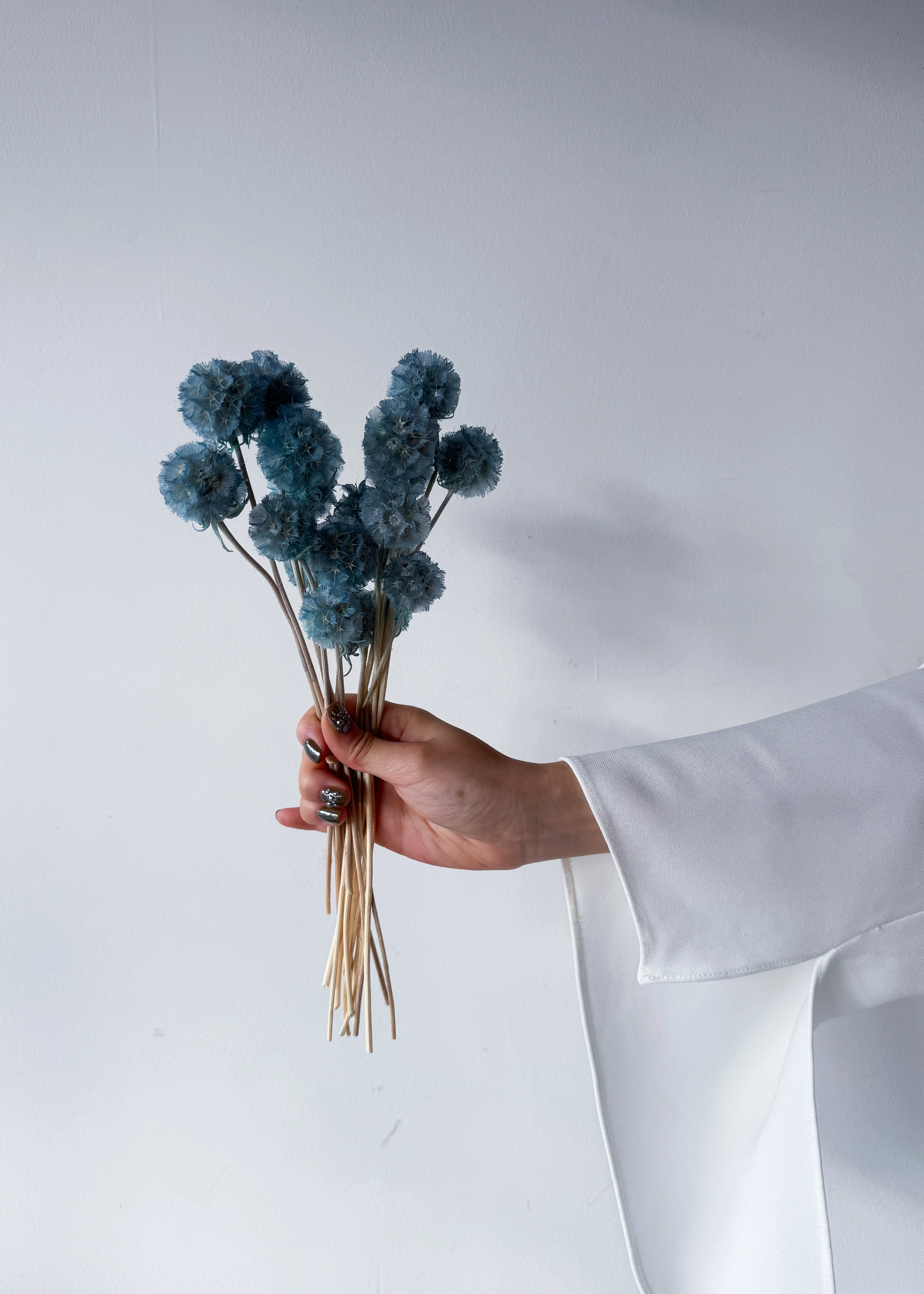 PRESERVED SCABIOSA | GREY BLUE - Image 2