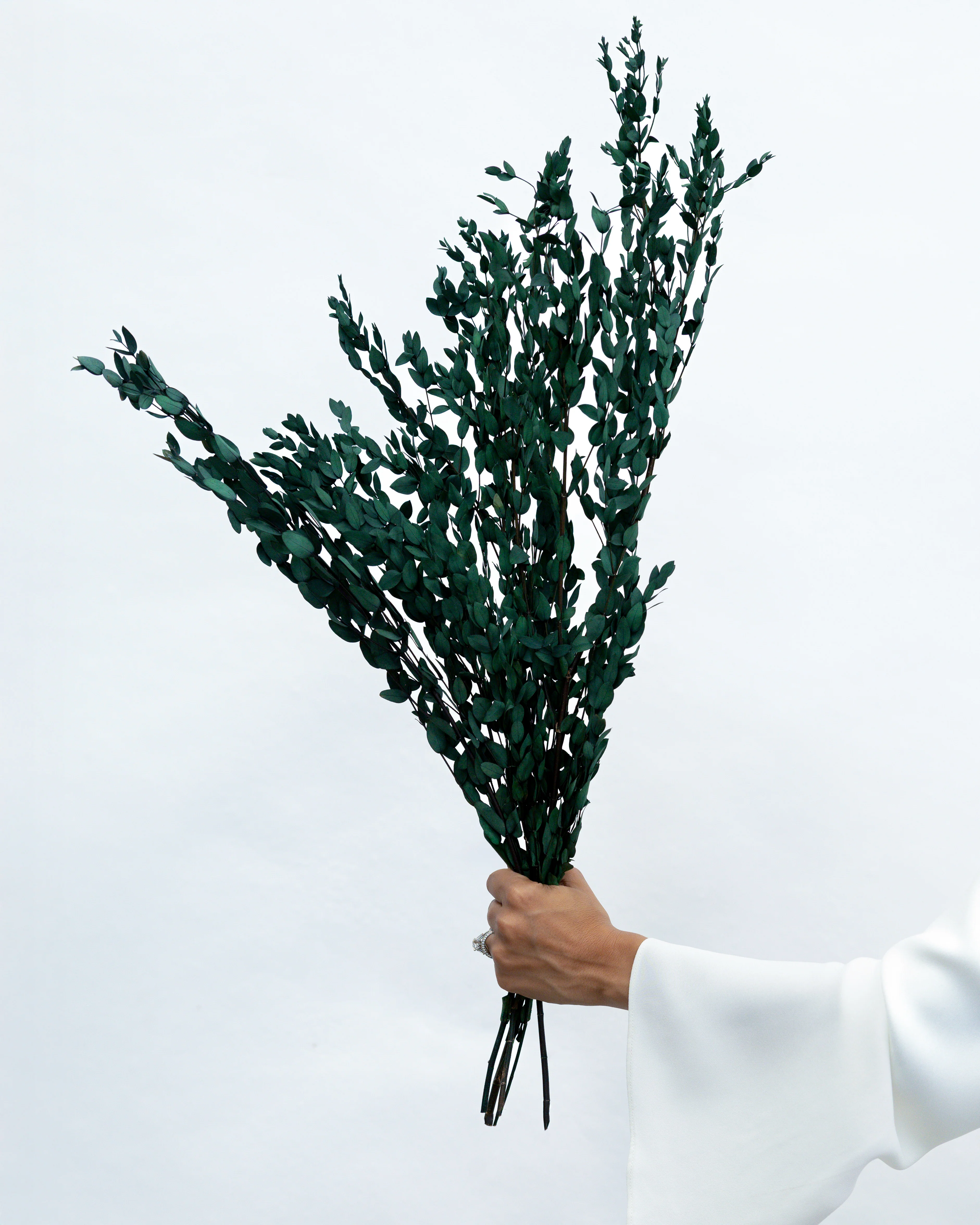 PRESERVED SMALL-LEAF GUM | DEEP SEA GREEN