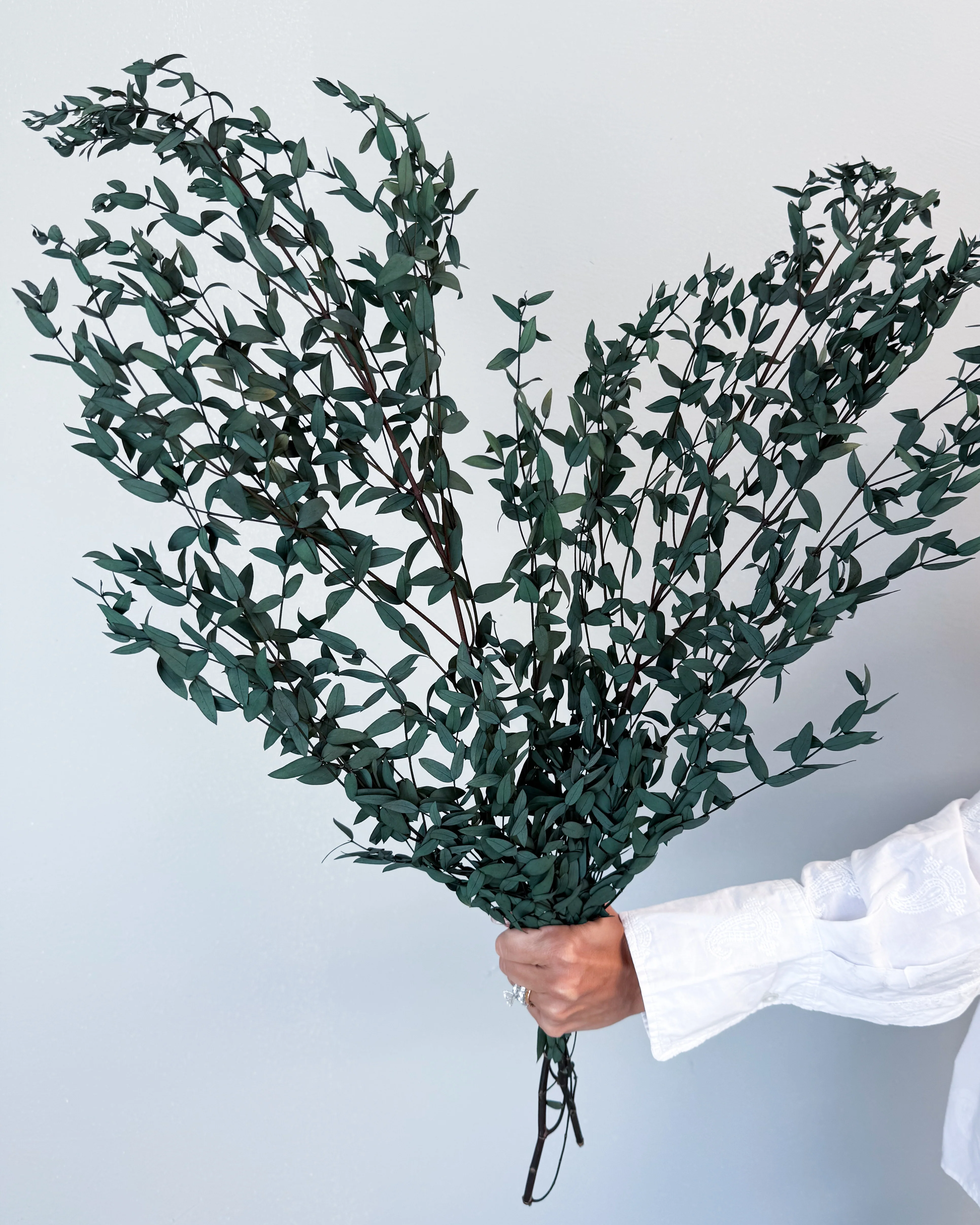 PRESERVED SMALL-LEAF GUM | DEEP SEA GREEN - Image 2