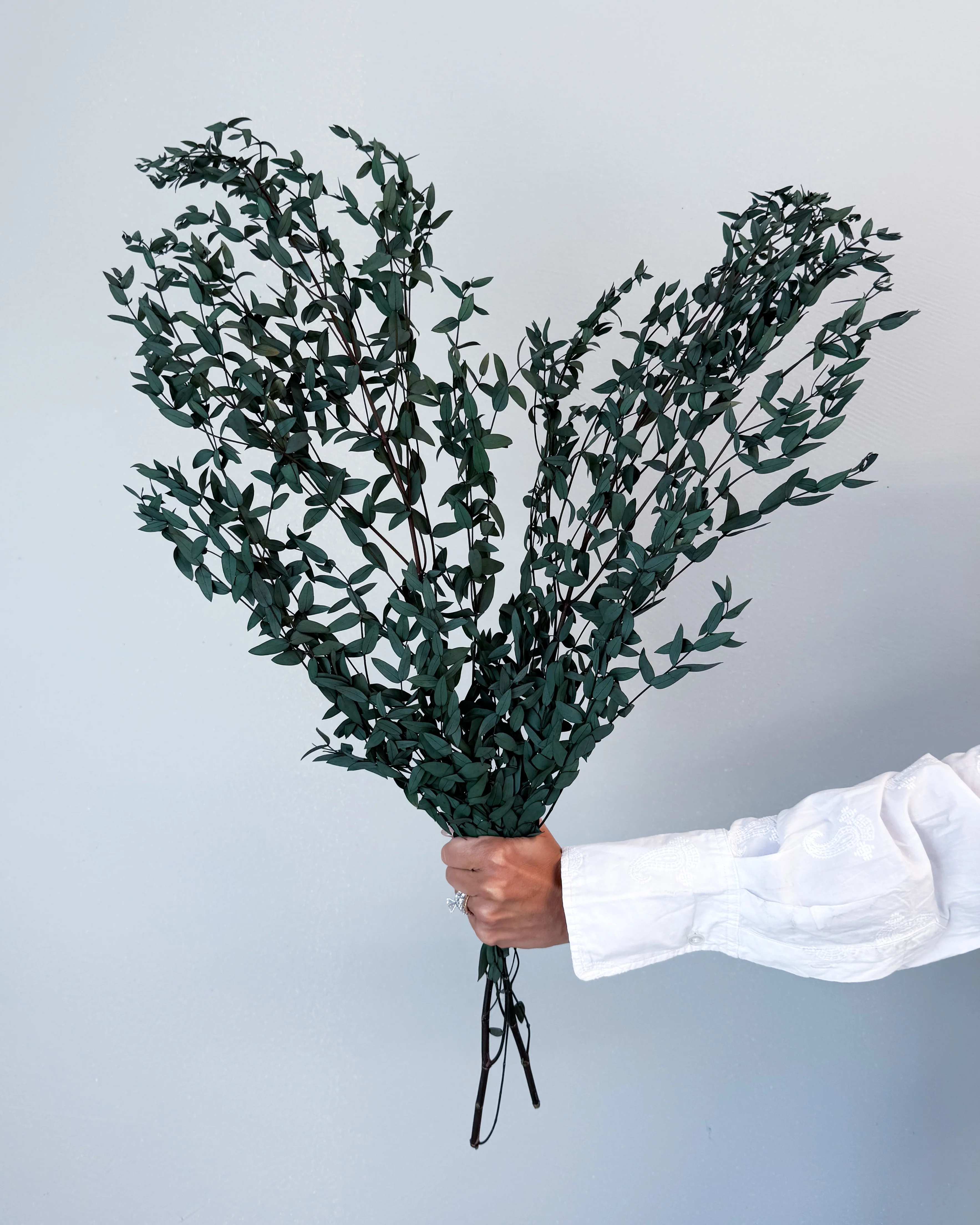 PRESERVED SMALL-LEAF GUM | DEEP SEA GREEN - Image 3