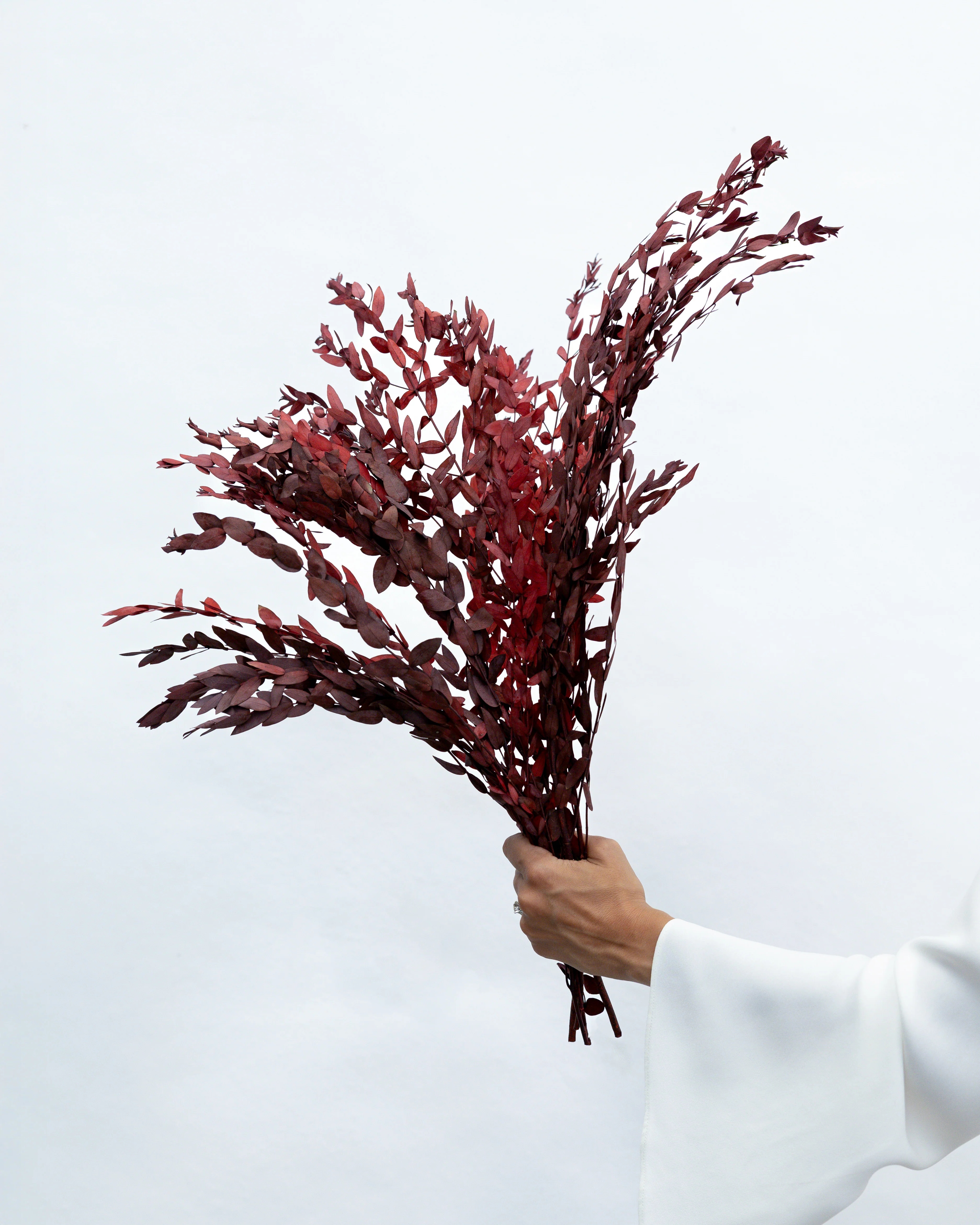 PRESERVED SMALL-LEAF GUM | MARONE