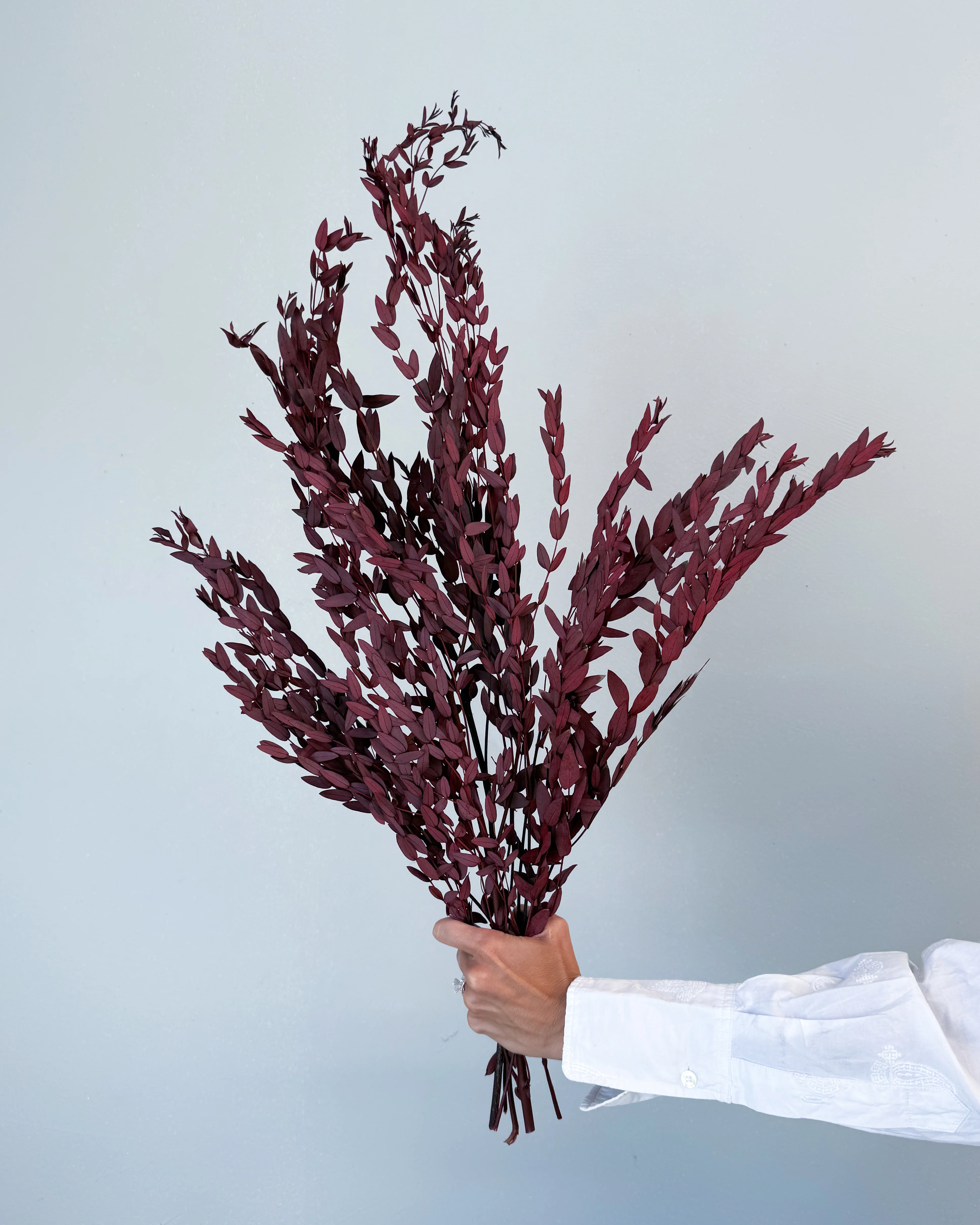 PRESERVED SMALL-LEAF GUM | MARONE - Image 3