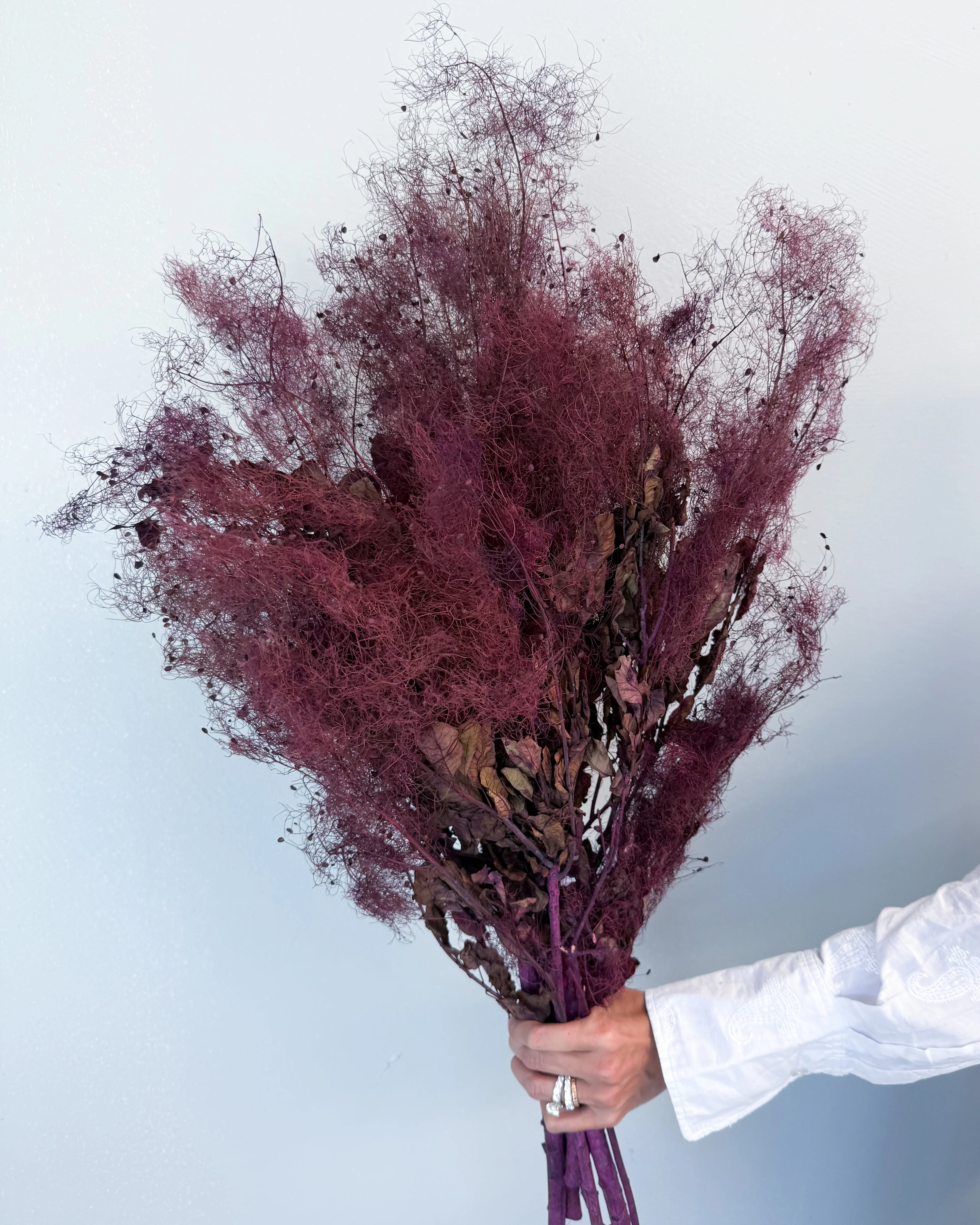 PRESERVED SMOKEBUSH - Image 5