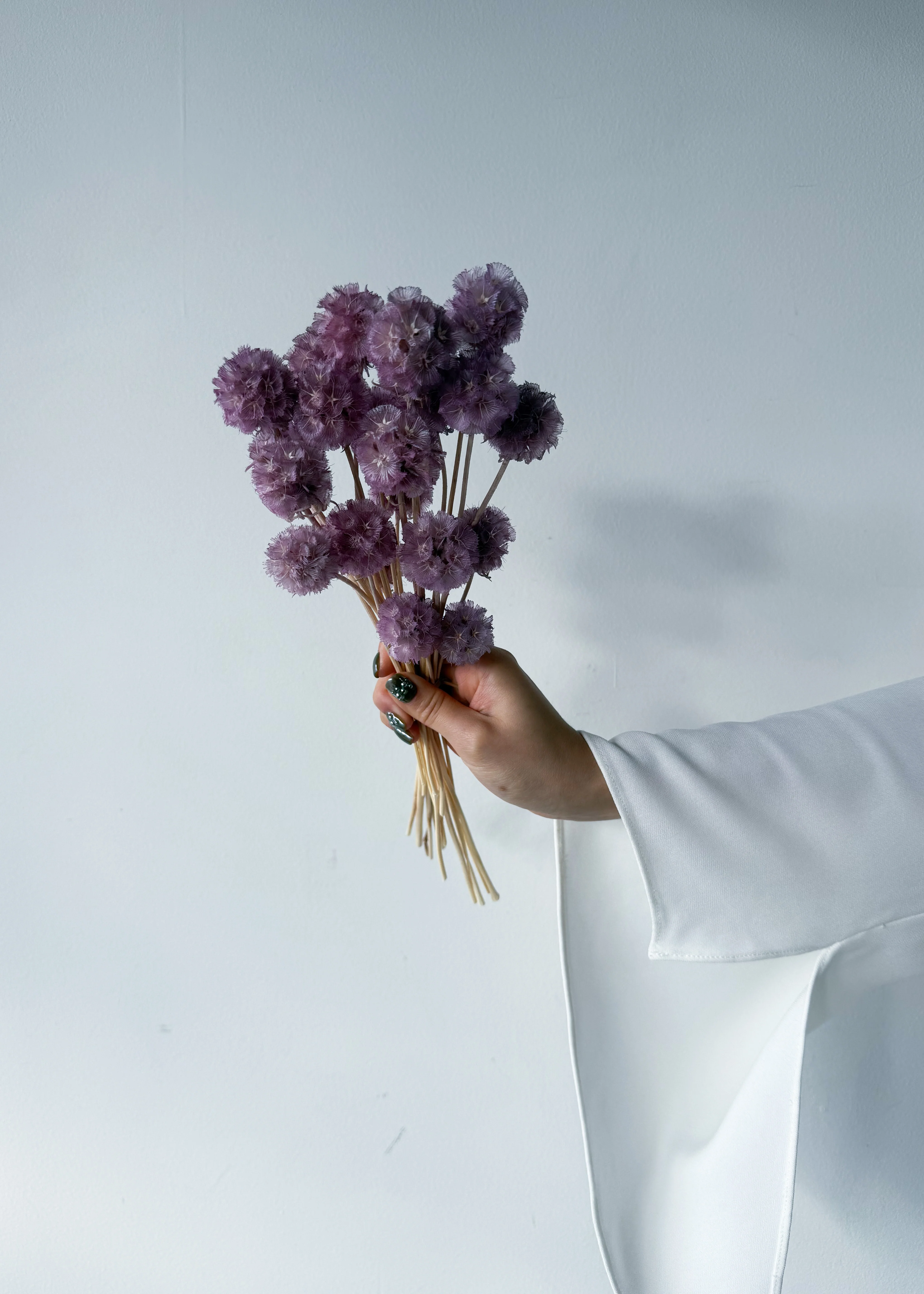 PRESERVED SCABIOSA | LILAC - Image 5